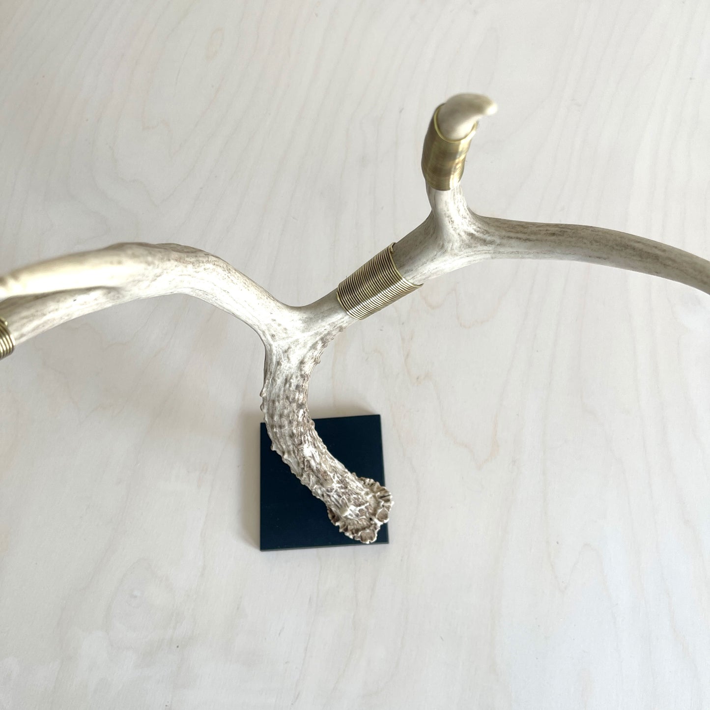 Deer Antler Scultpure - Single - Wire Wrapped