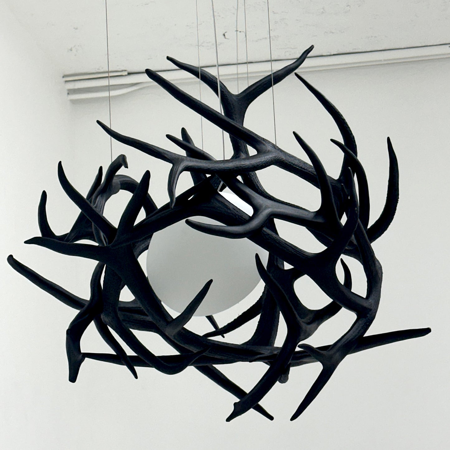 Elk Antler Pod