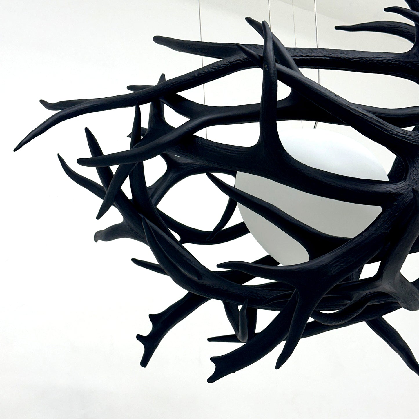 Elk Antler Pod