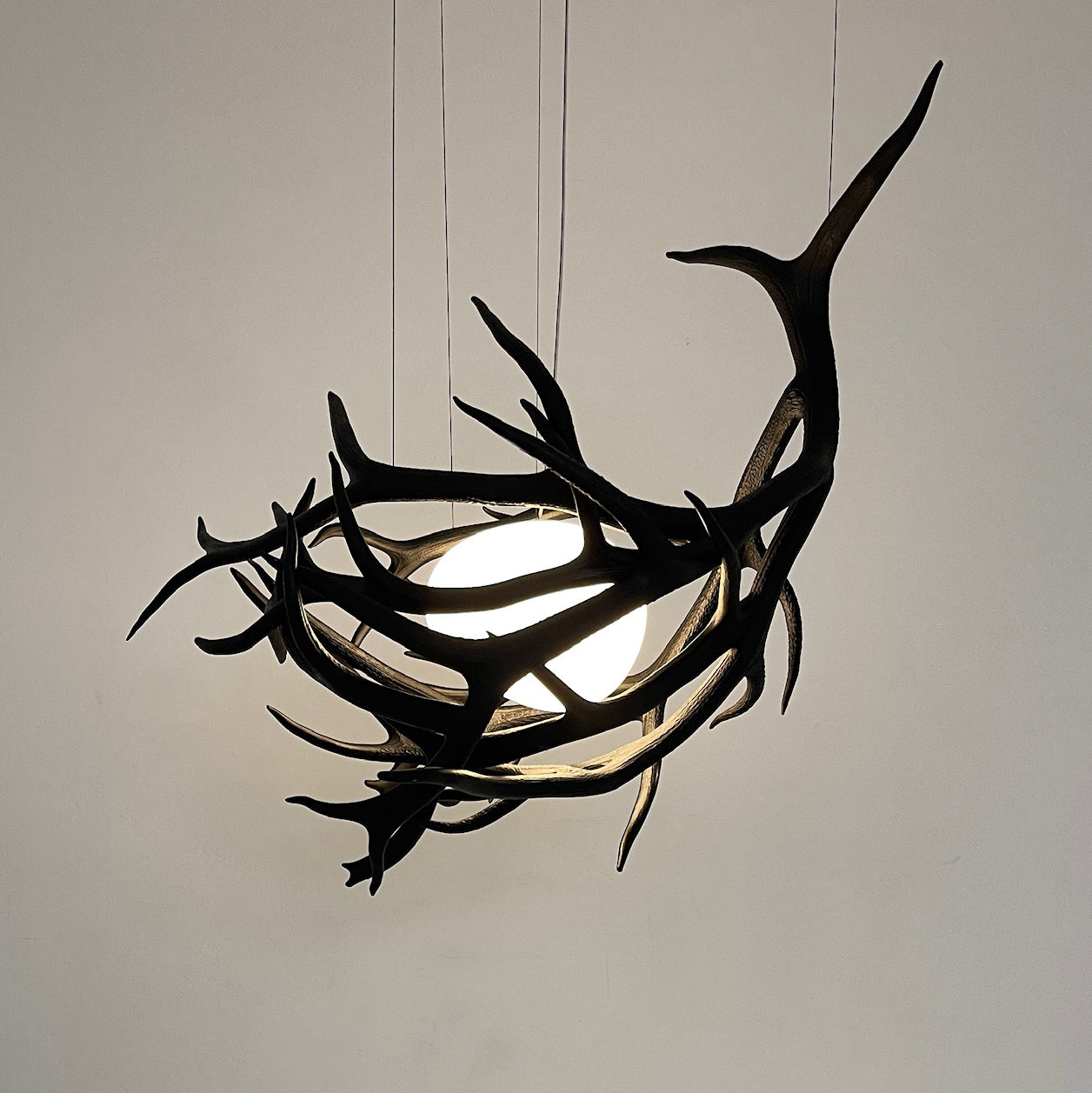 Elk Antler Pod