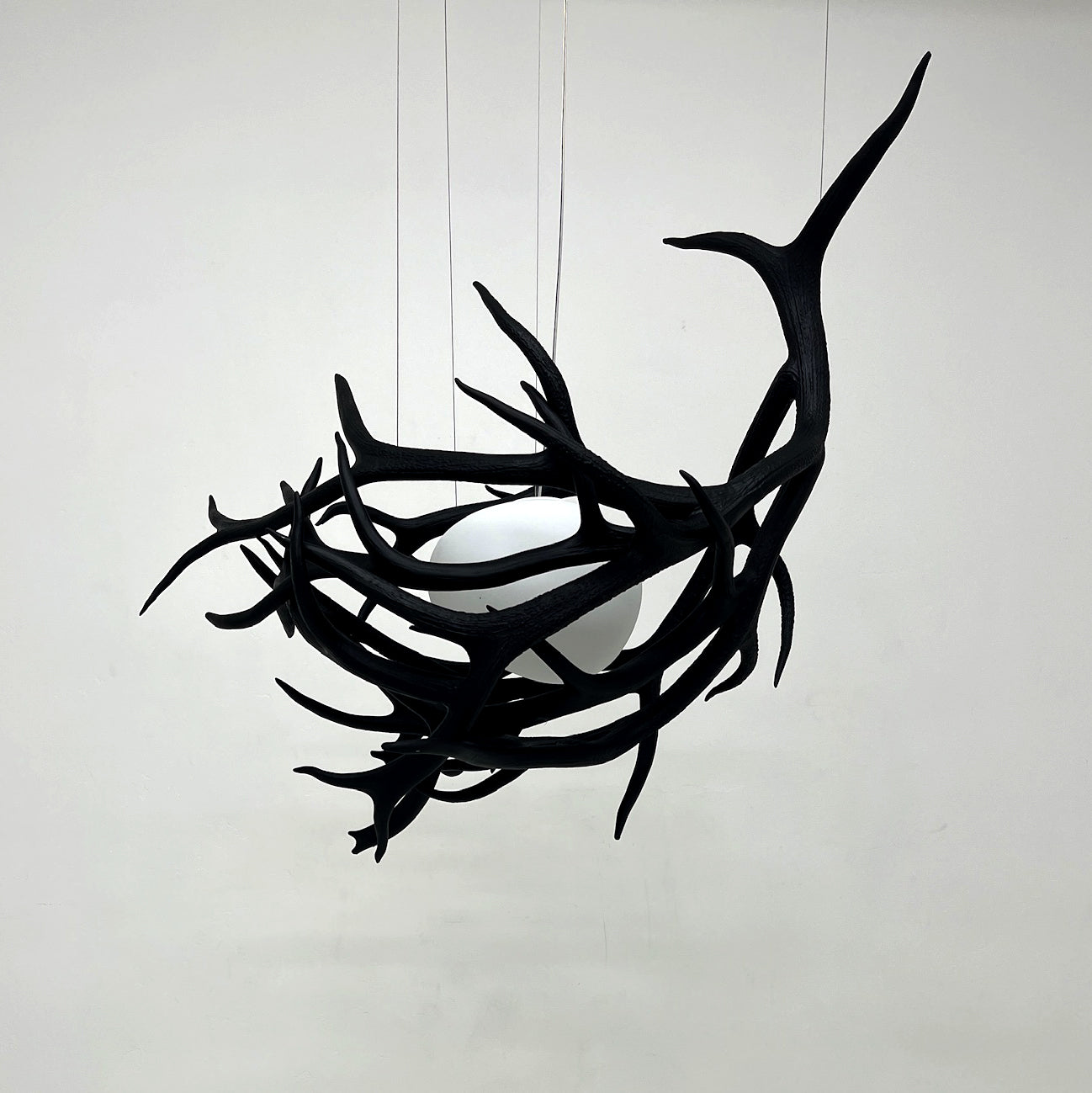 Elk Antler Pod
