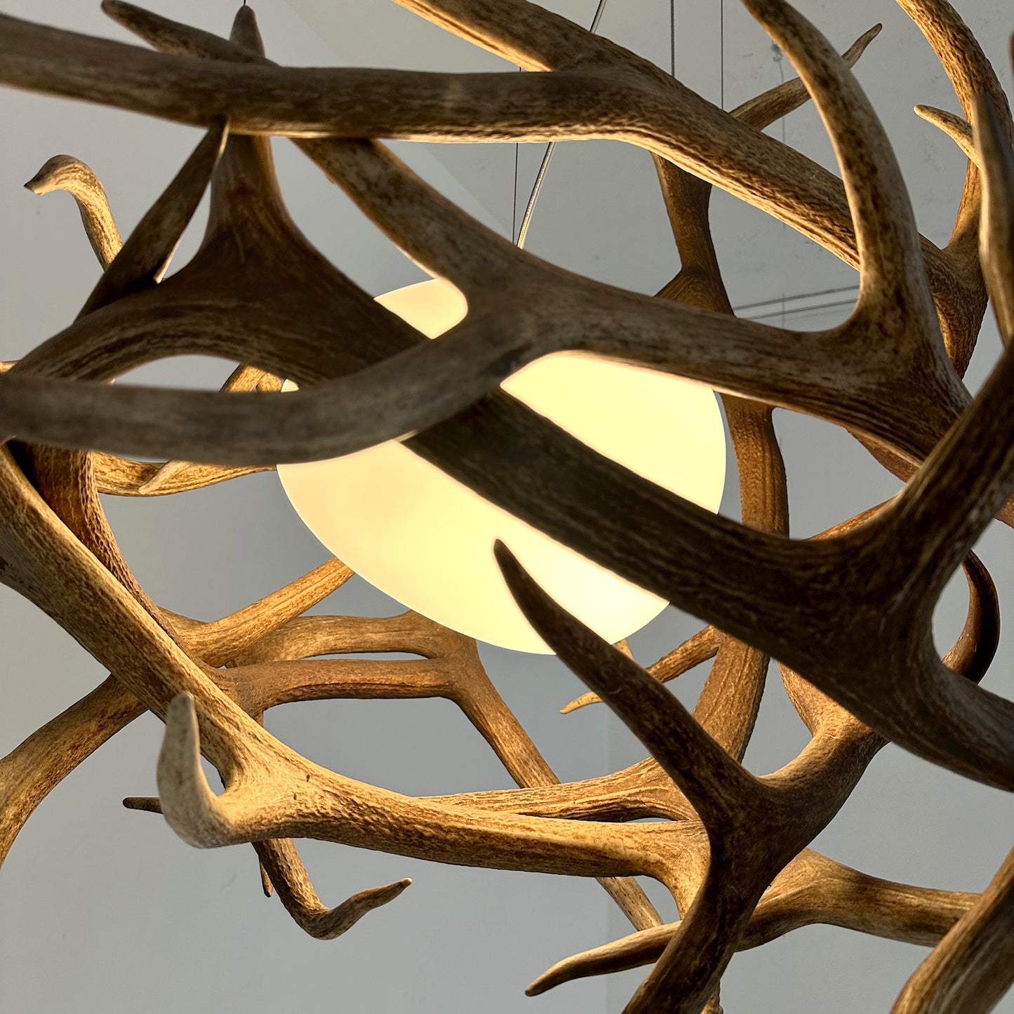 Elk Antler Pod
