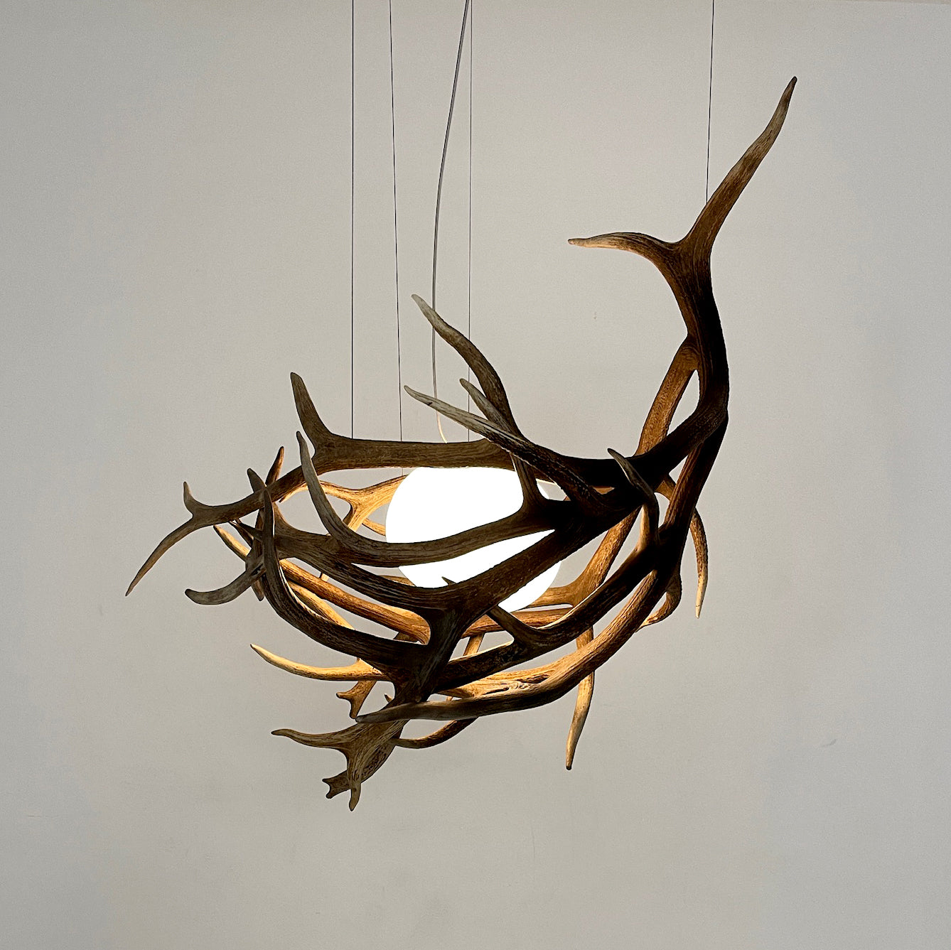 Elk Antler Pod