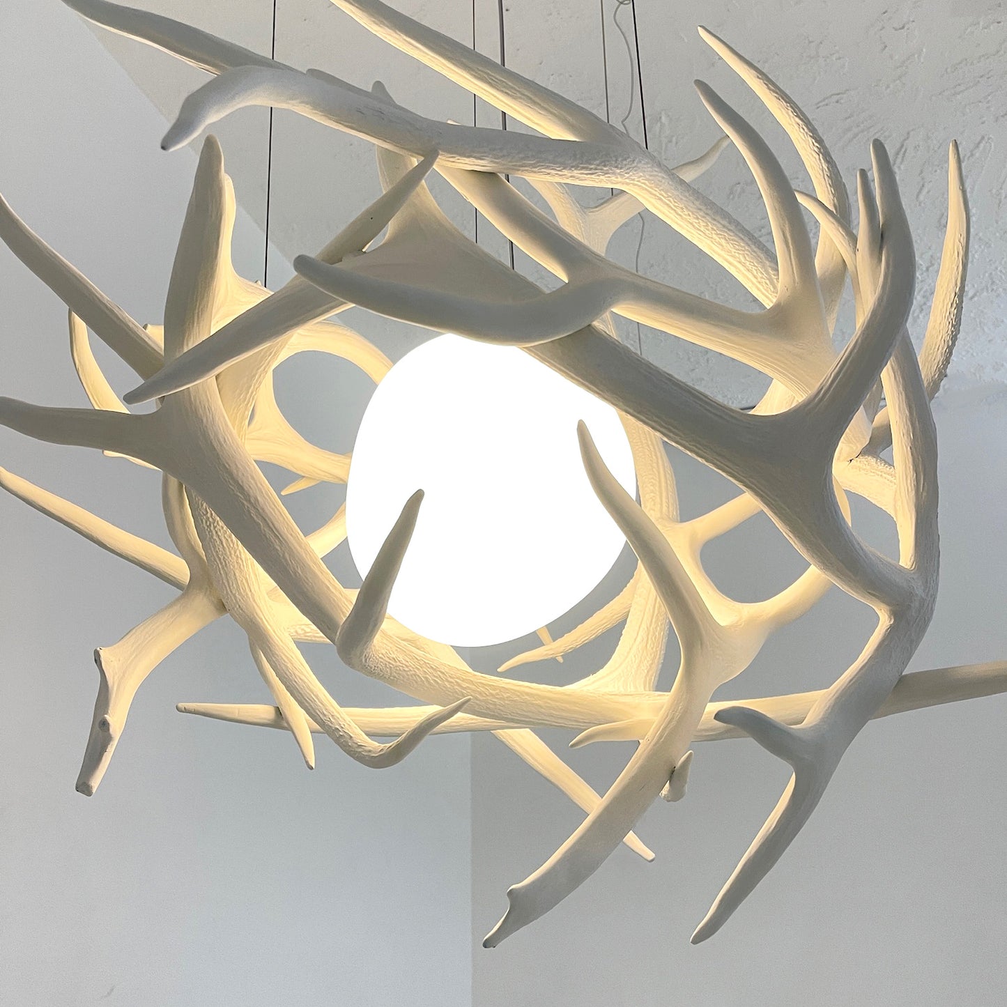 Elk Antler Pod