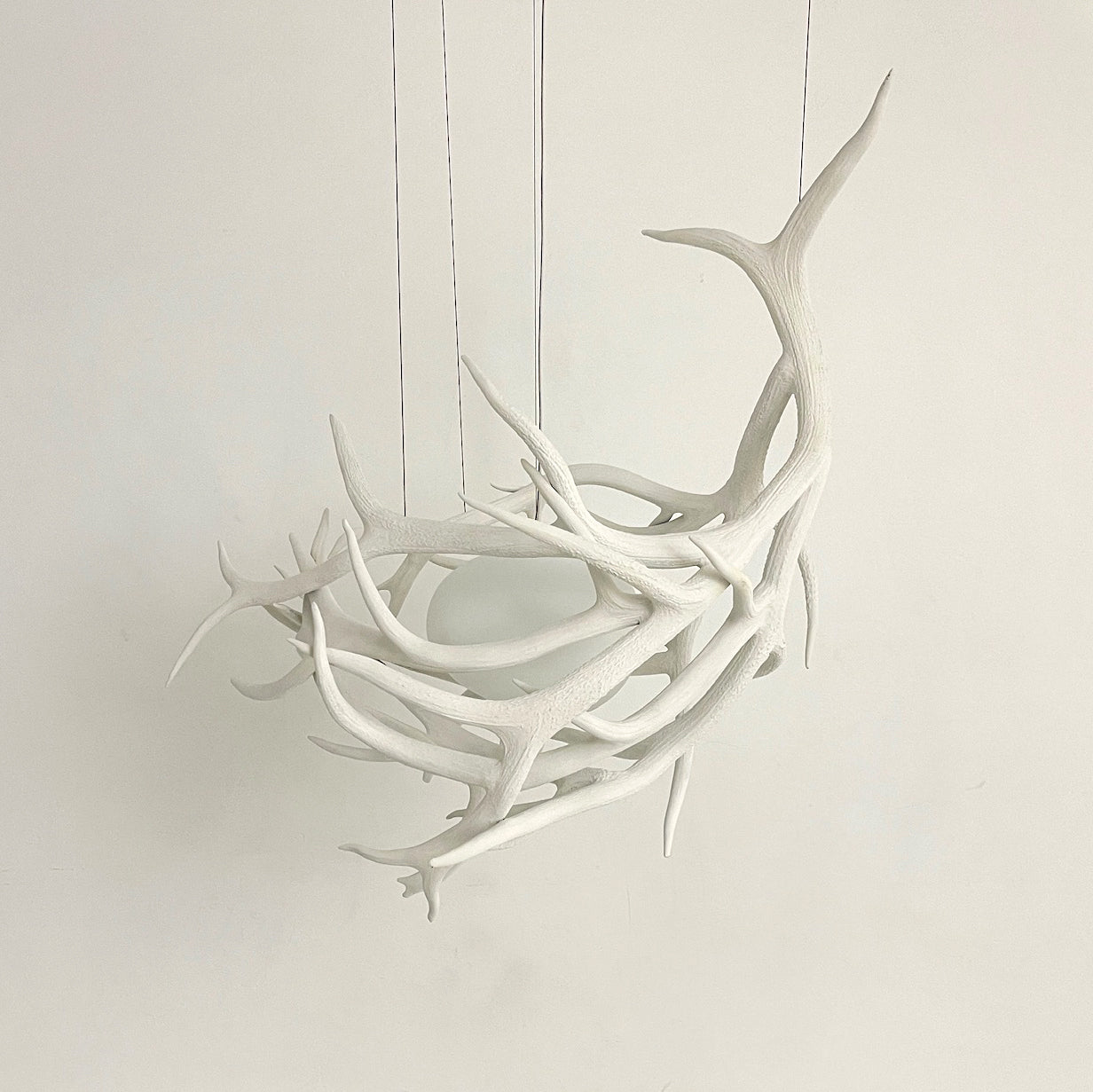 Elk Antler Pod