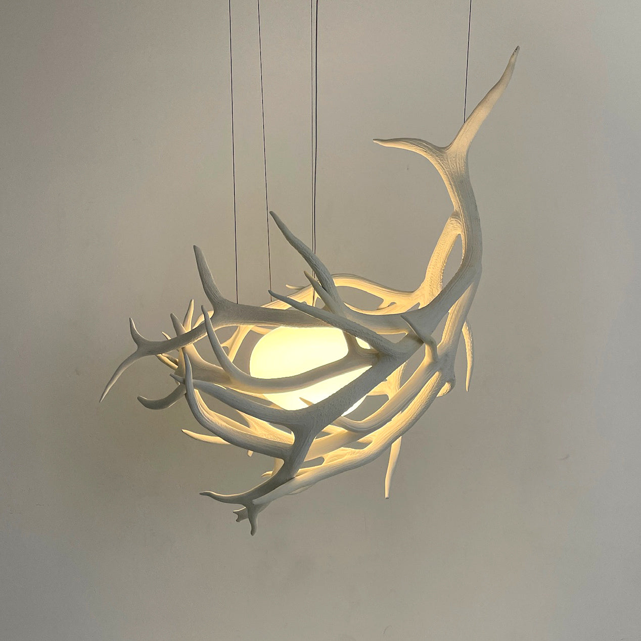 Elk Antler Pod