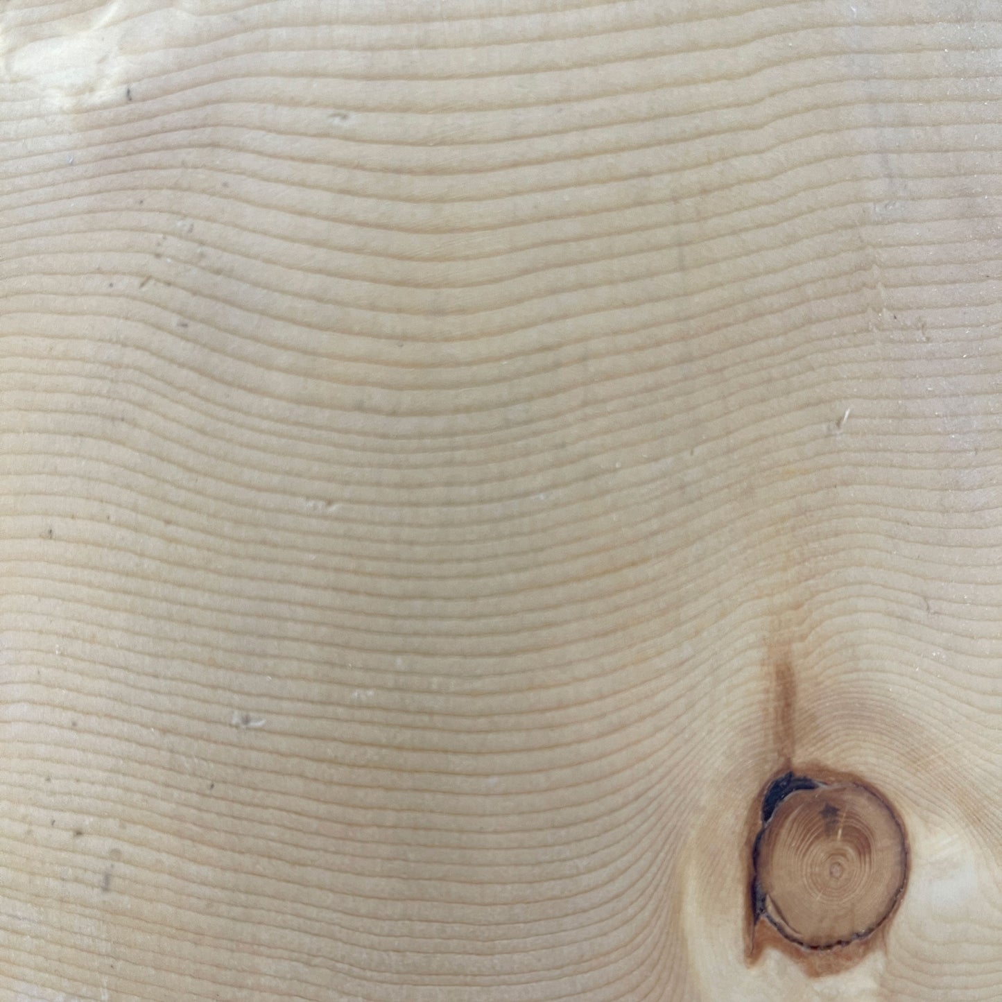 Timber Pendant