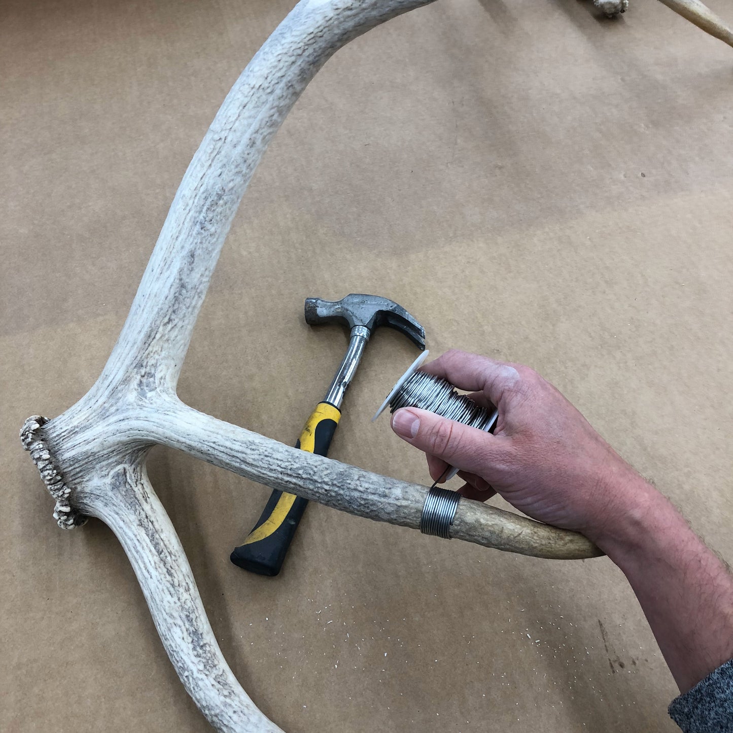 Elk Antler Sculpture