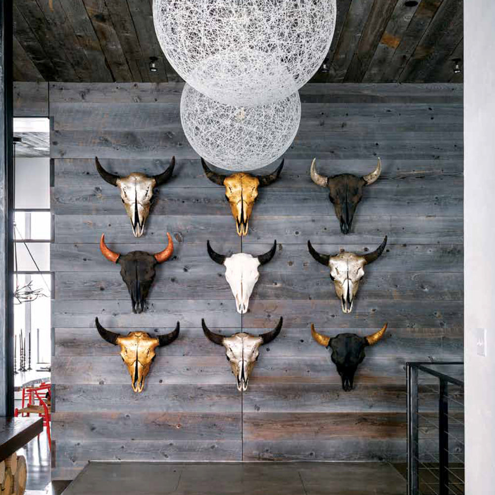 Bison Skull - Black Head