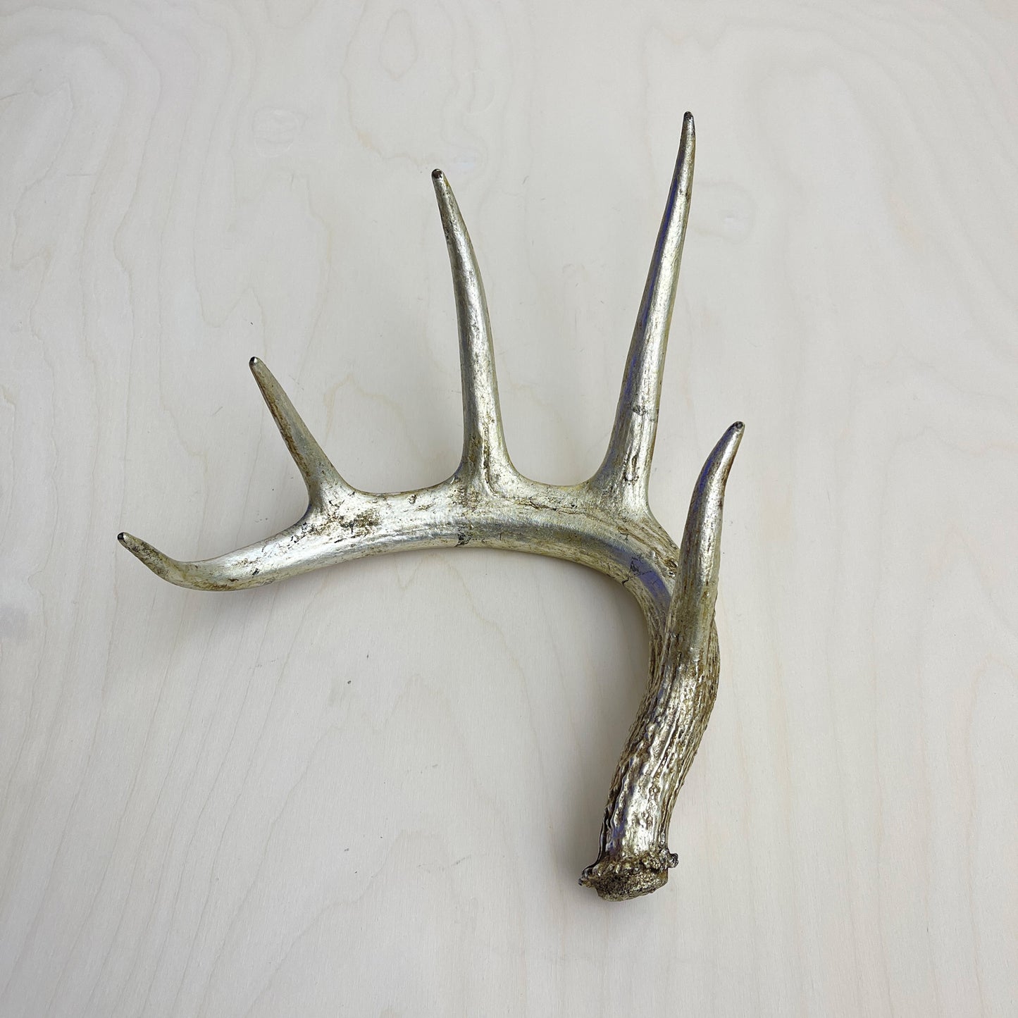 Antler Accents - Gilded