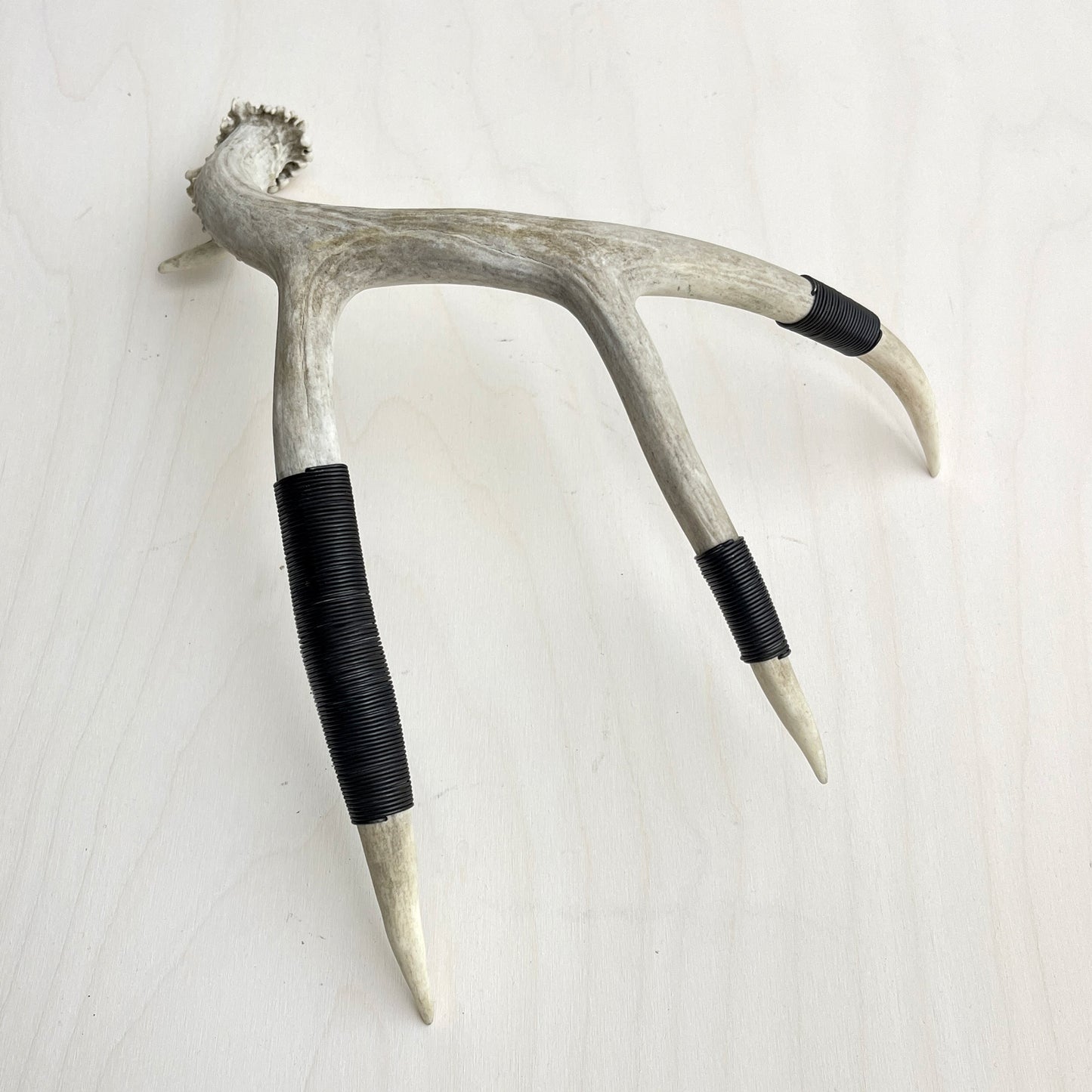 Antler Accent - Wire Wrapped