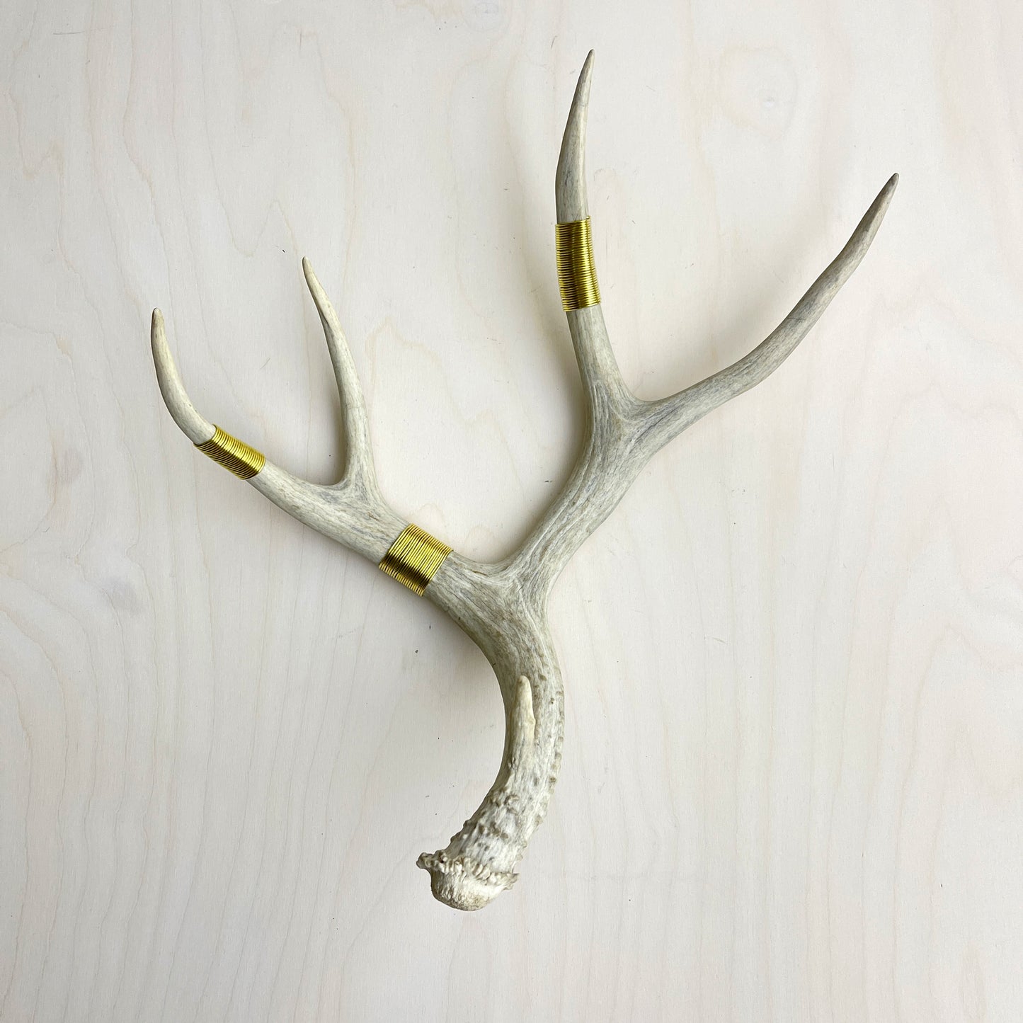 Antler Accent - Wire Wrapped