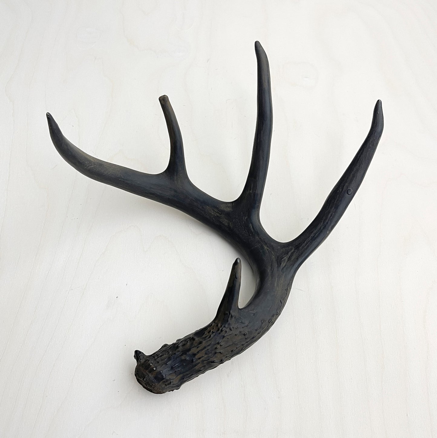 Antler Accents - Gilded