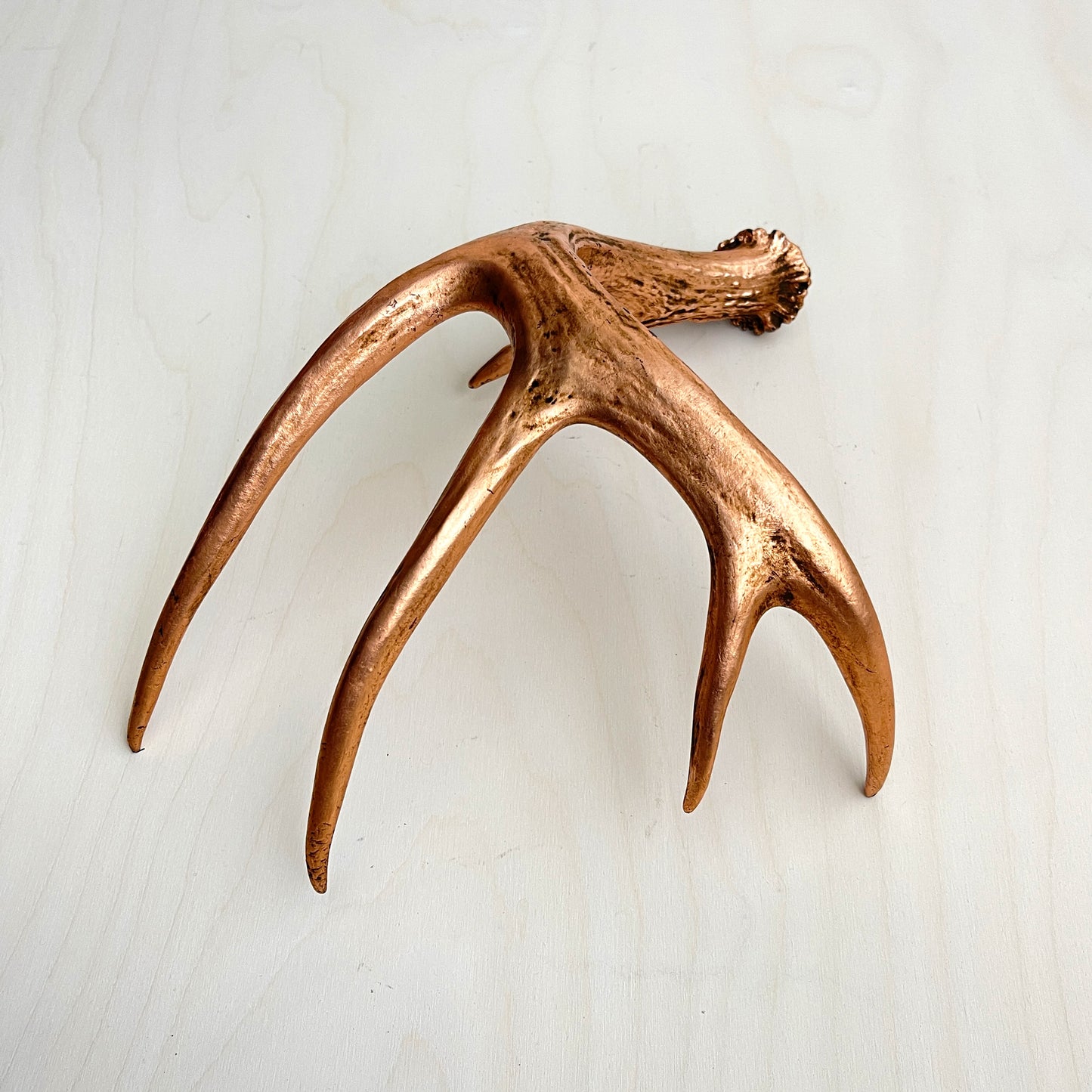 Antler Accents - Gilded
