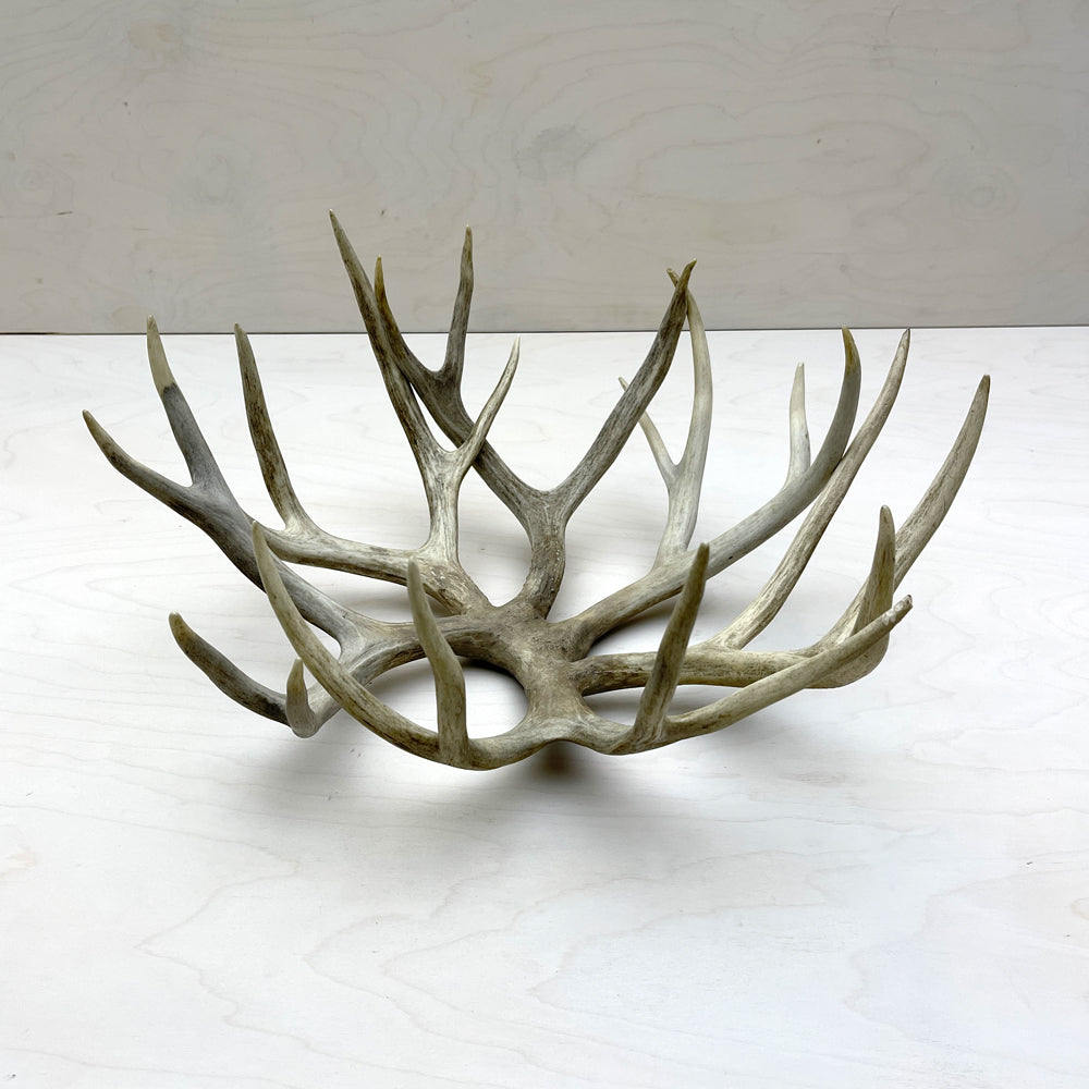 Antler Bowl