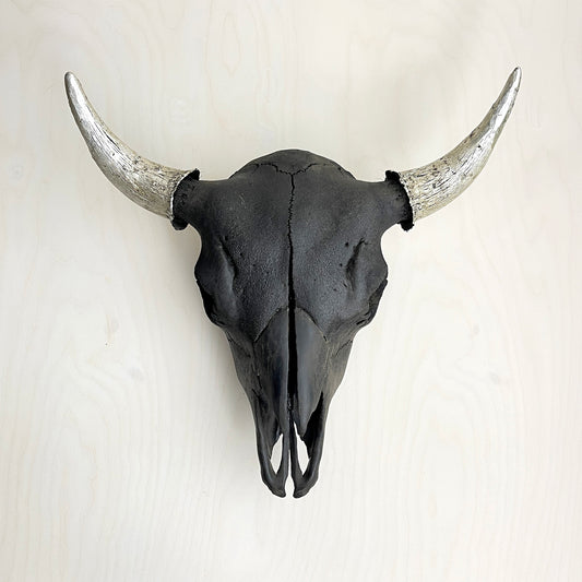 Bison Skull - Black Head