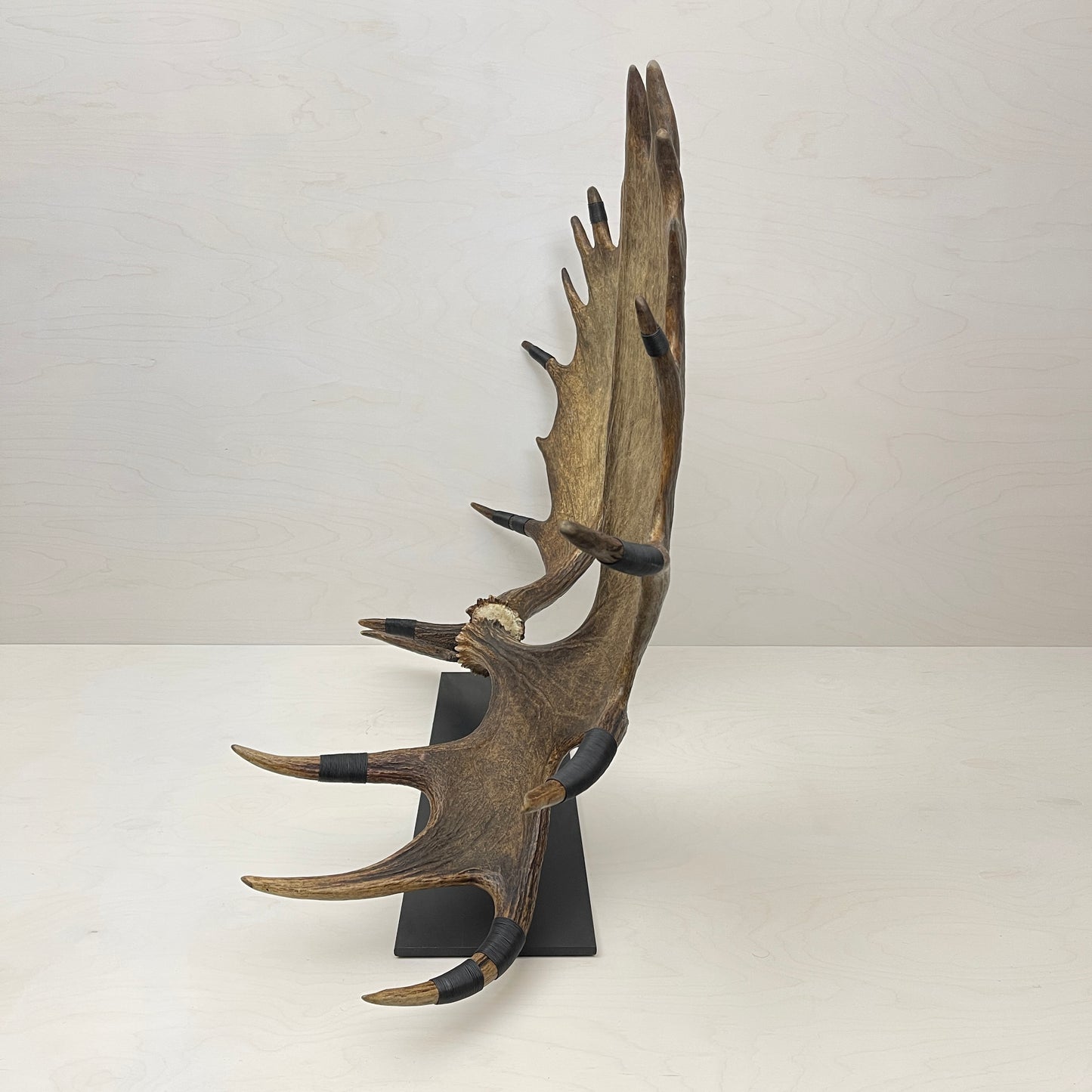 Moose Paddle Sculpture