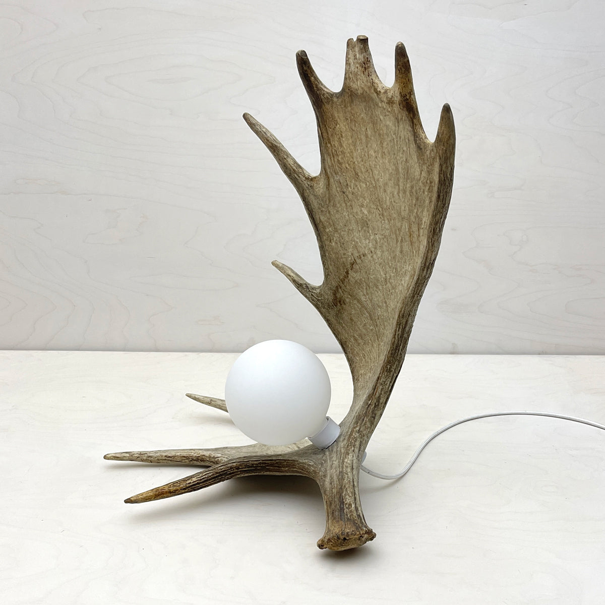 Moose Antler Lamp - Natural