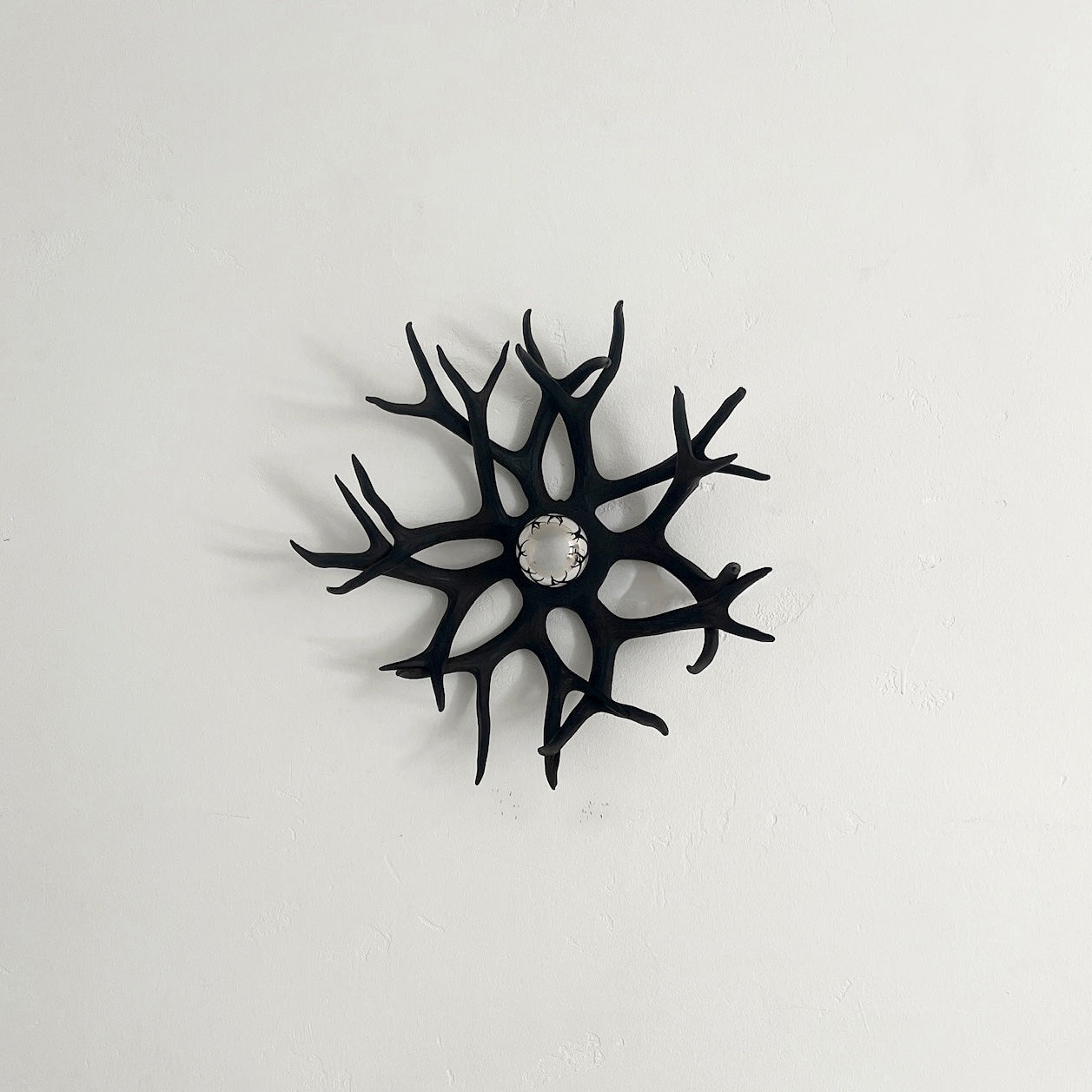 Antler Bowl Sconce