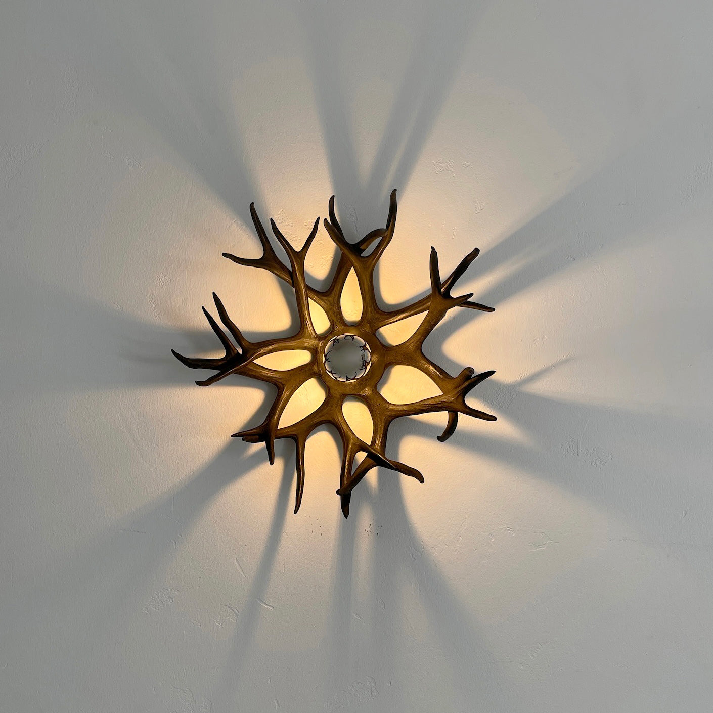 Antler Bowl Sconce