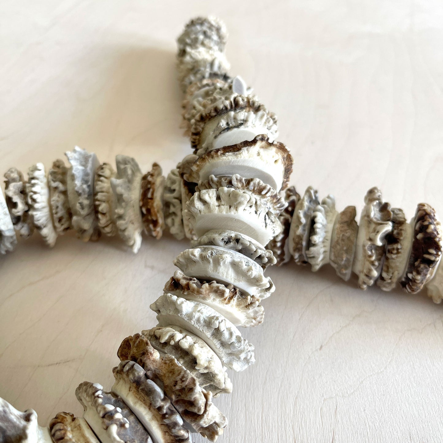 Antler Burr Strand