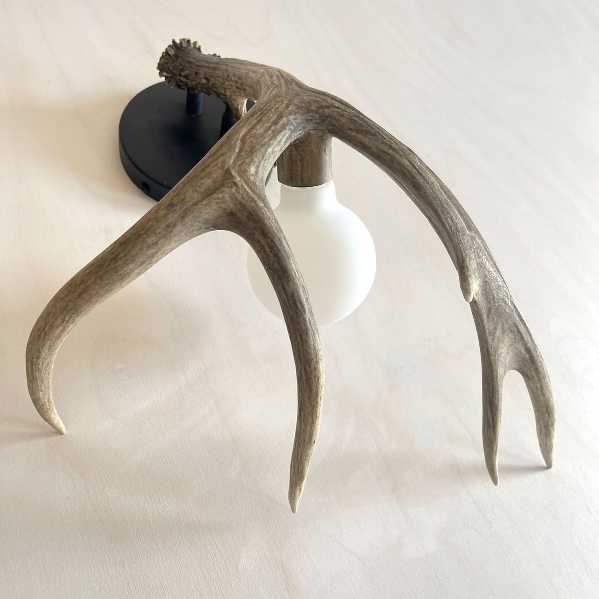 Antler Shed Sconce