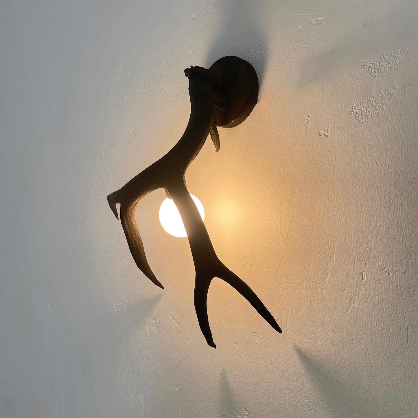 Antler Shed Sconce
