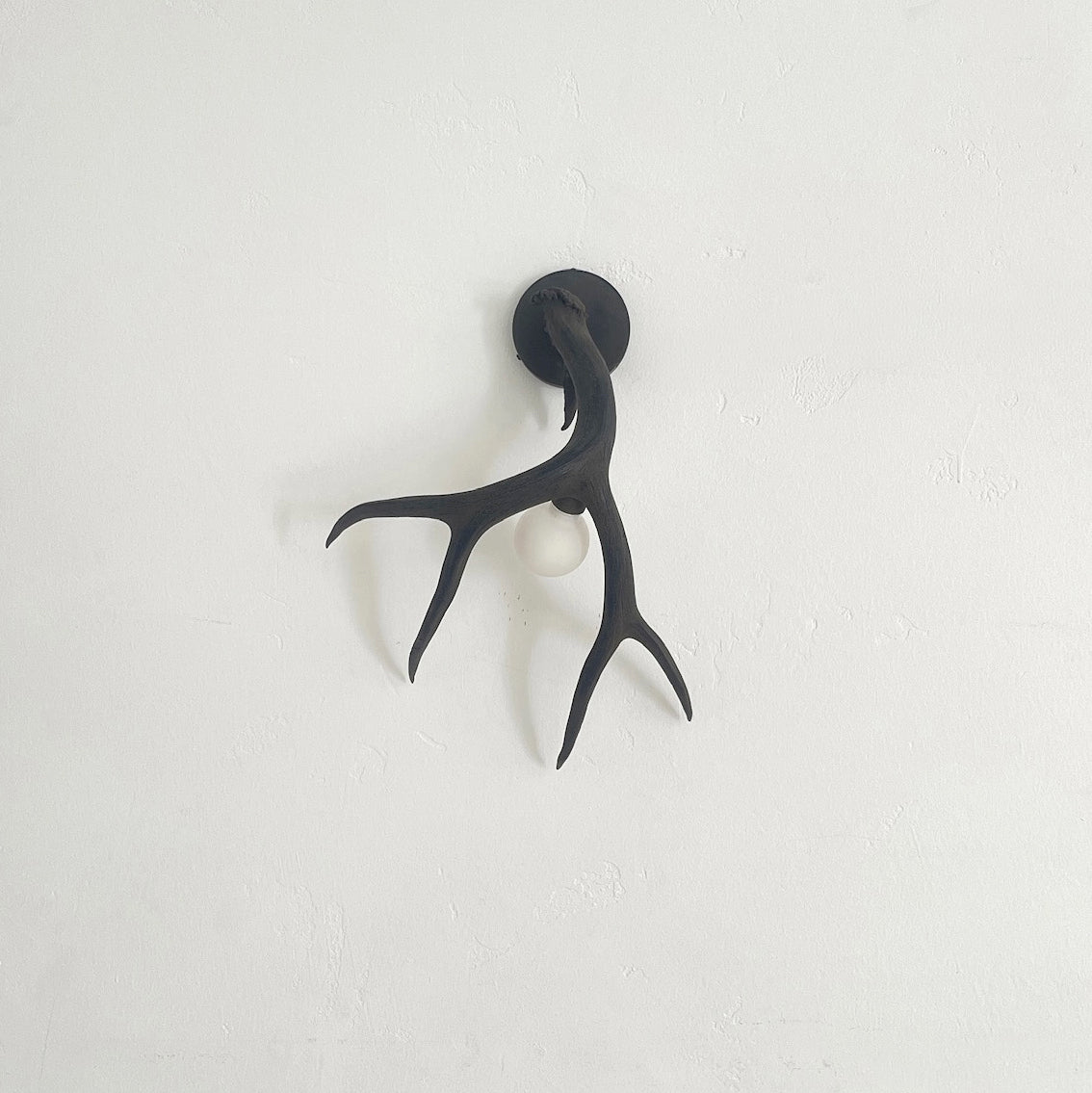 Antler Shed Sconce