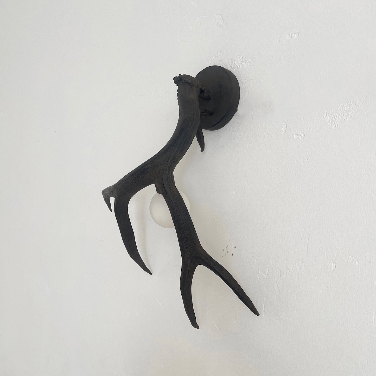 Antler Shed Sconce