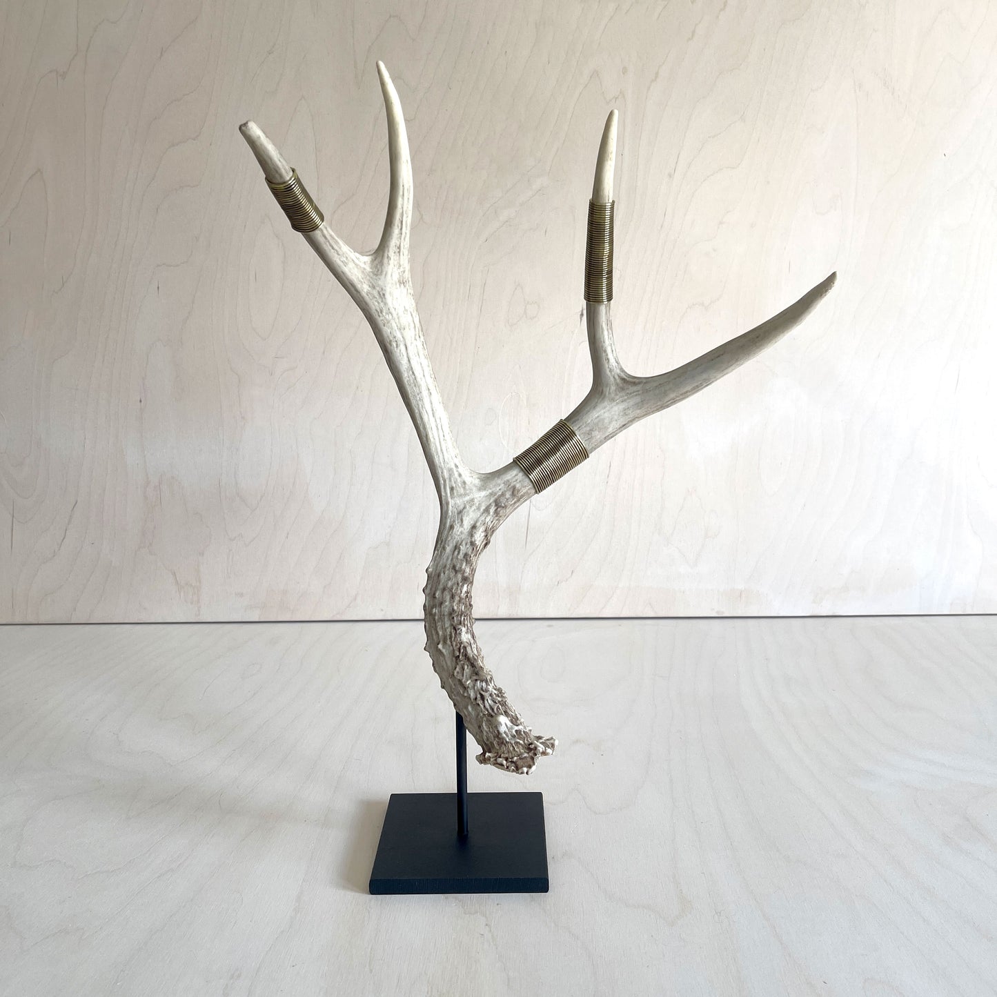 Deer Antler Scultpure - Single - Wire Wrapped