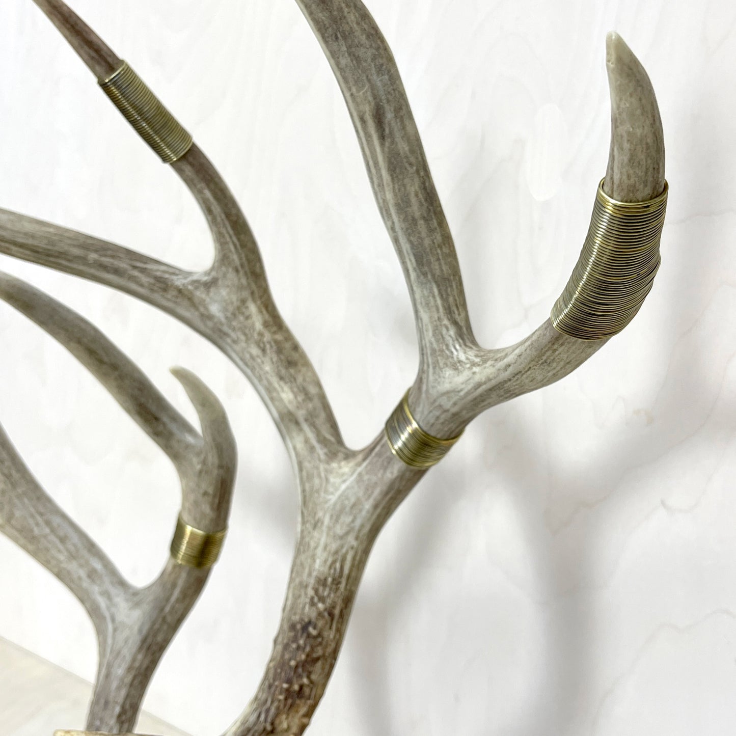 Deer Antler Stand - Wire Wrapped