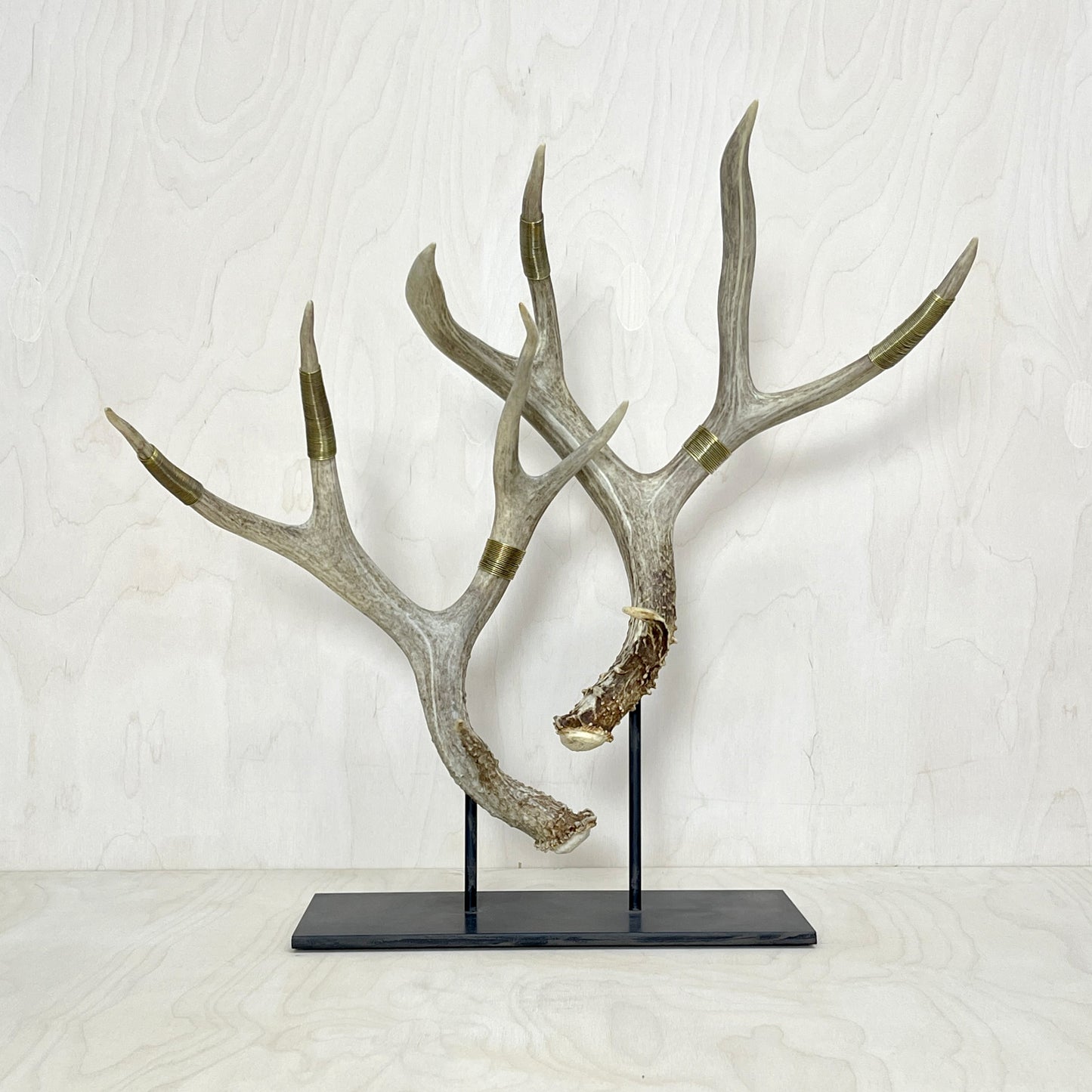 Deer Antler Stand - Wire Wrapped