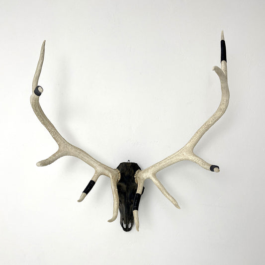 Elk Euro Mount