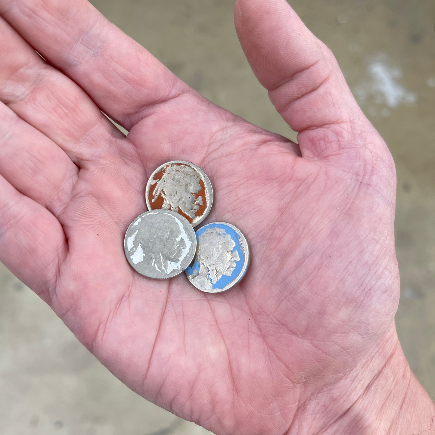 Indian Head Nickel - Single