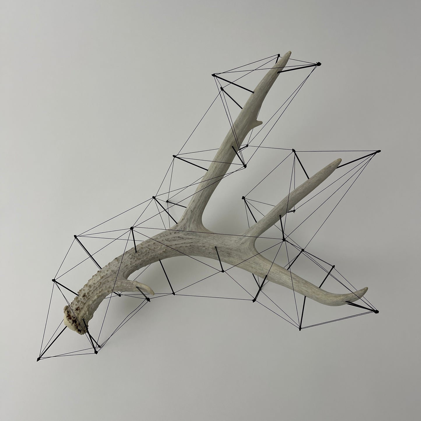 Matenkah - Deer Antler Sculpture