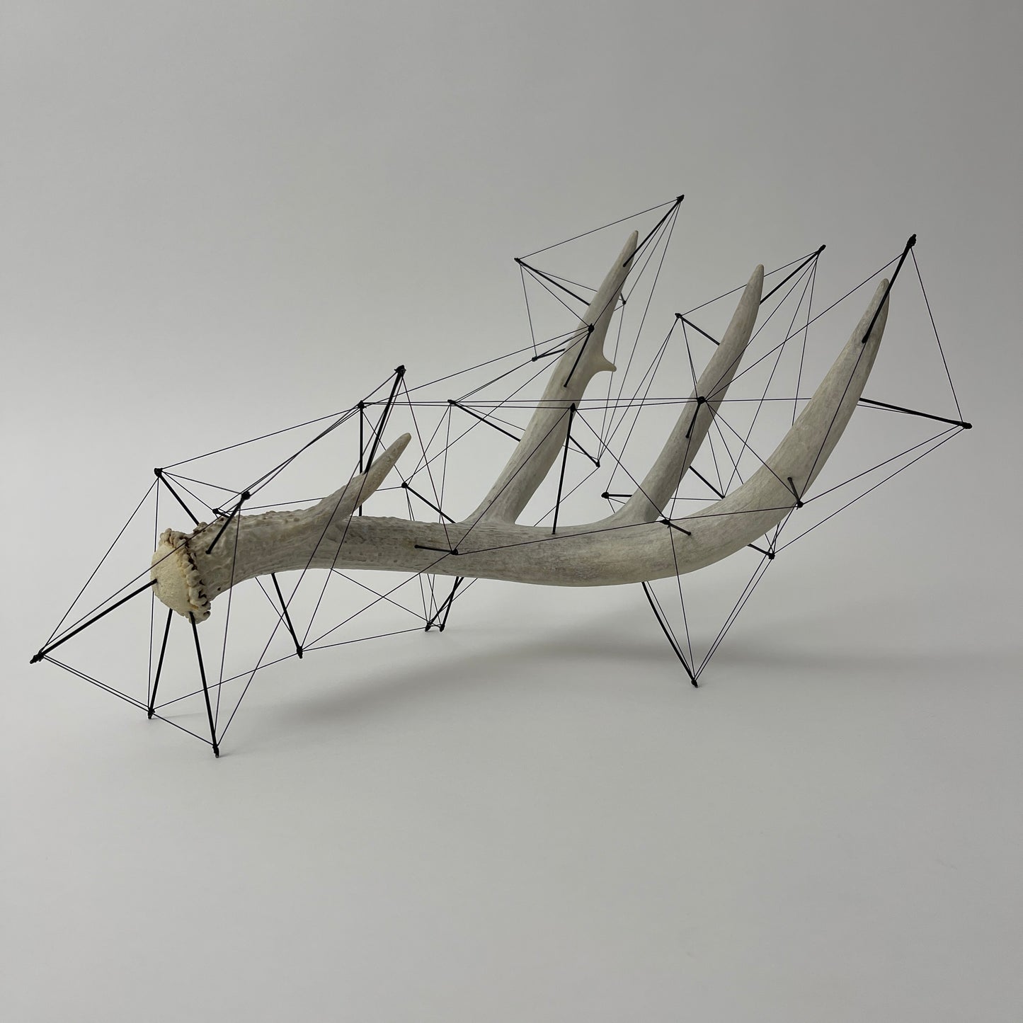 Matenkah - Deer Antler Sculpture