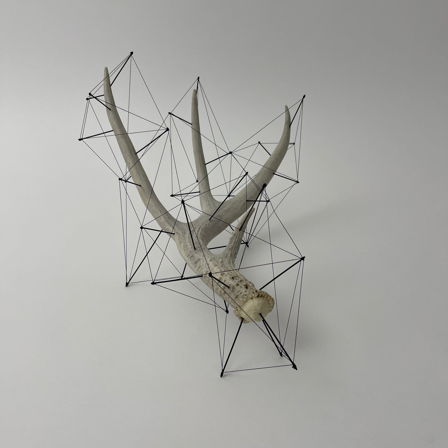 Matenkah - Deer Antler Sculpture