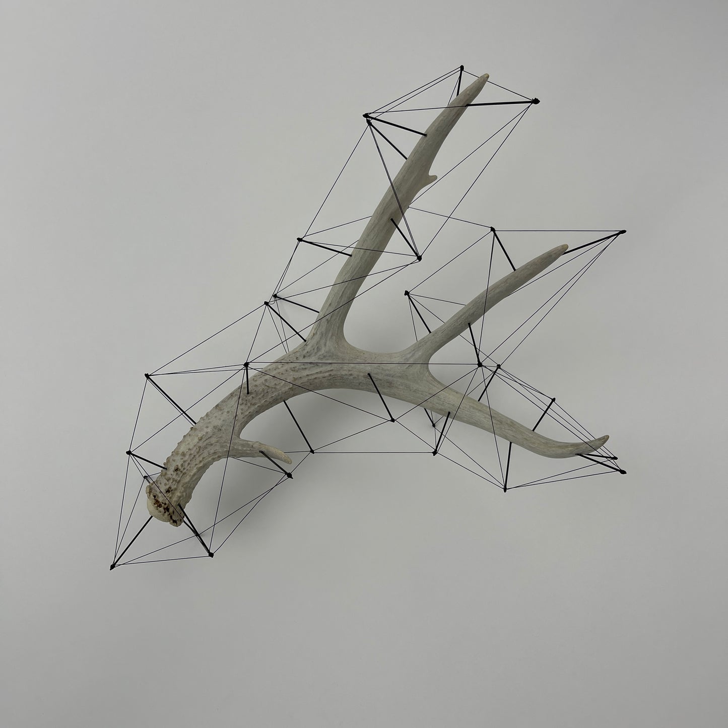 Matenkah - Deer Antler Sculpture