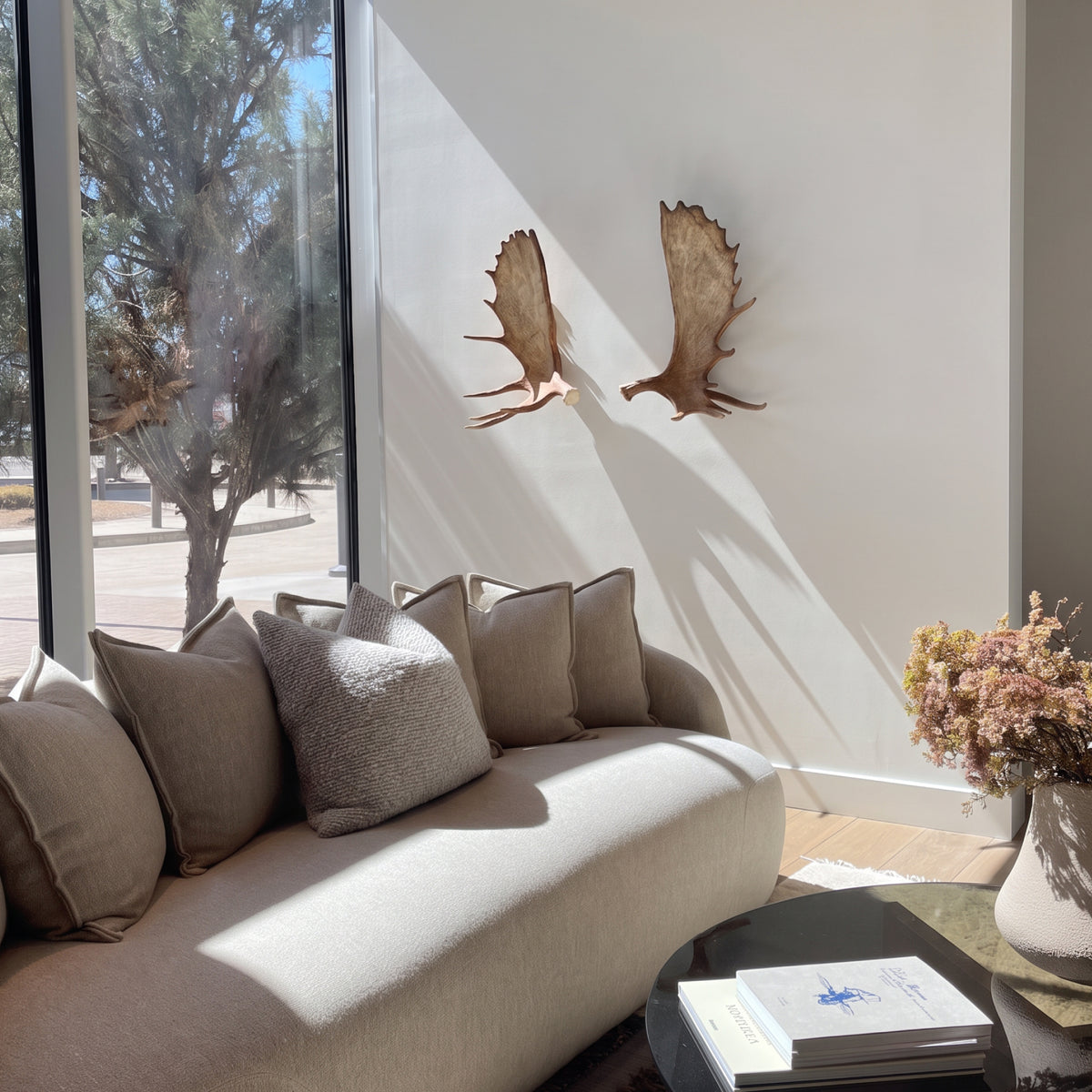 Moose Antler Wall Mounts