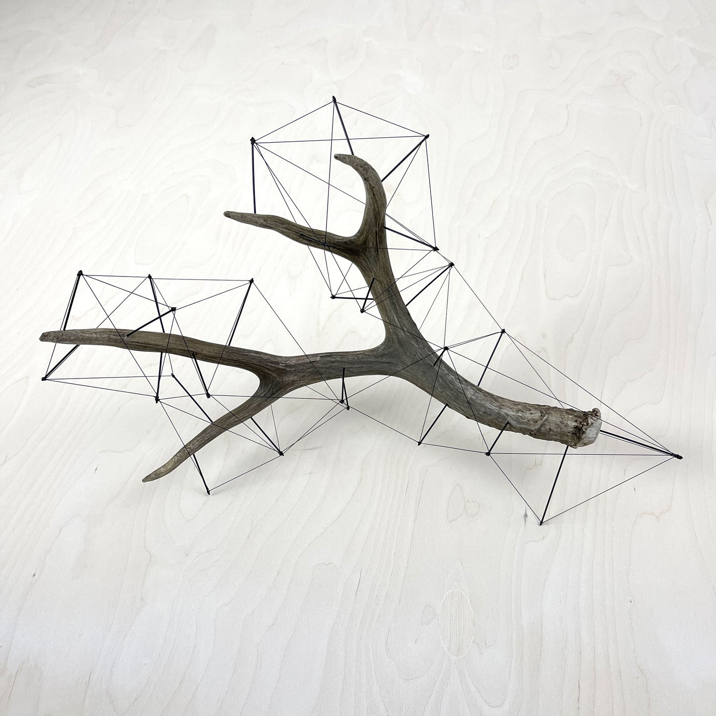 Matenkah - Deer Antler Sculpture