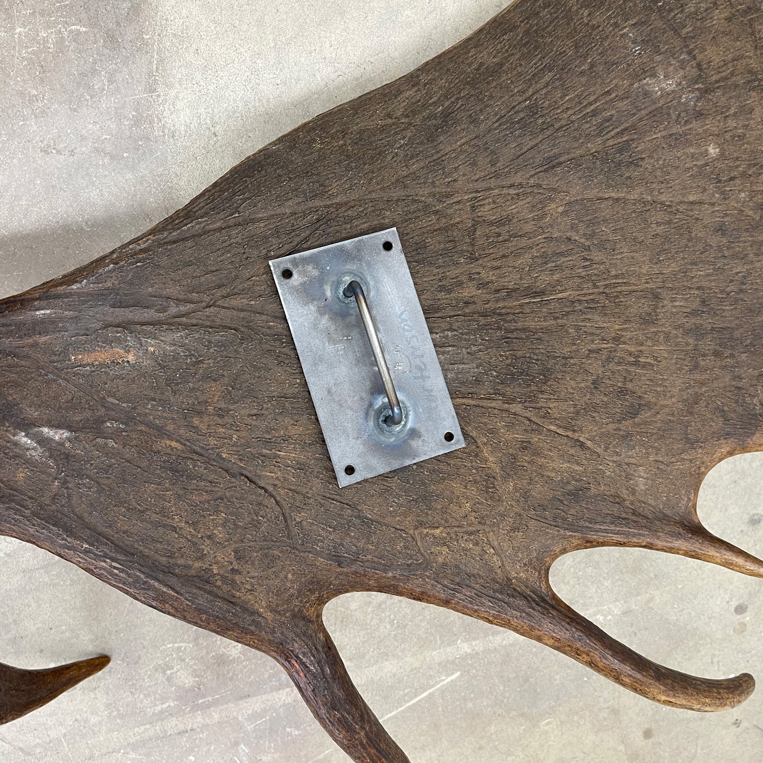 Moose Antler Wall Mounts – Farmhaus + Co