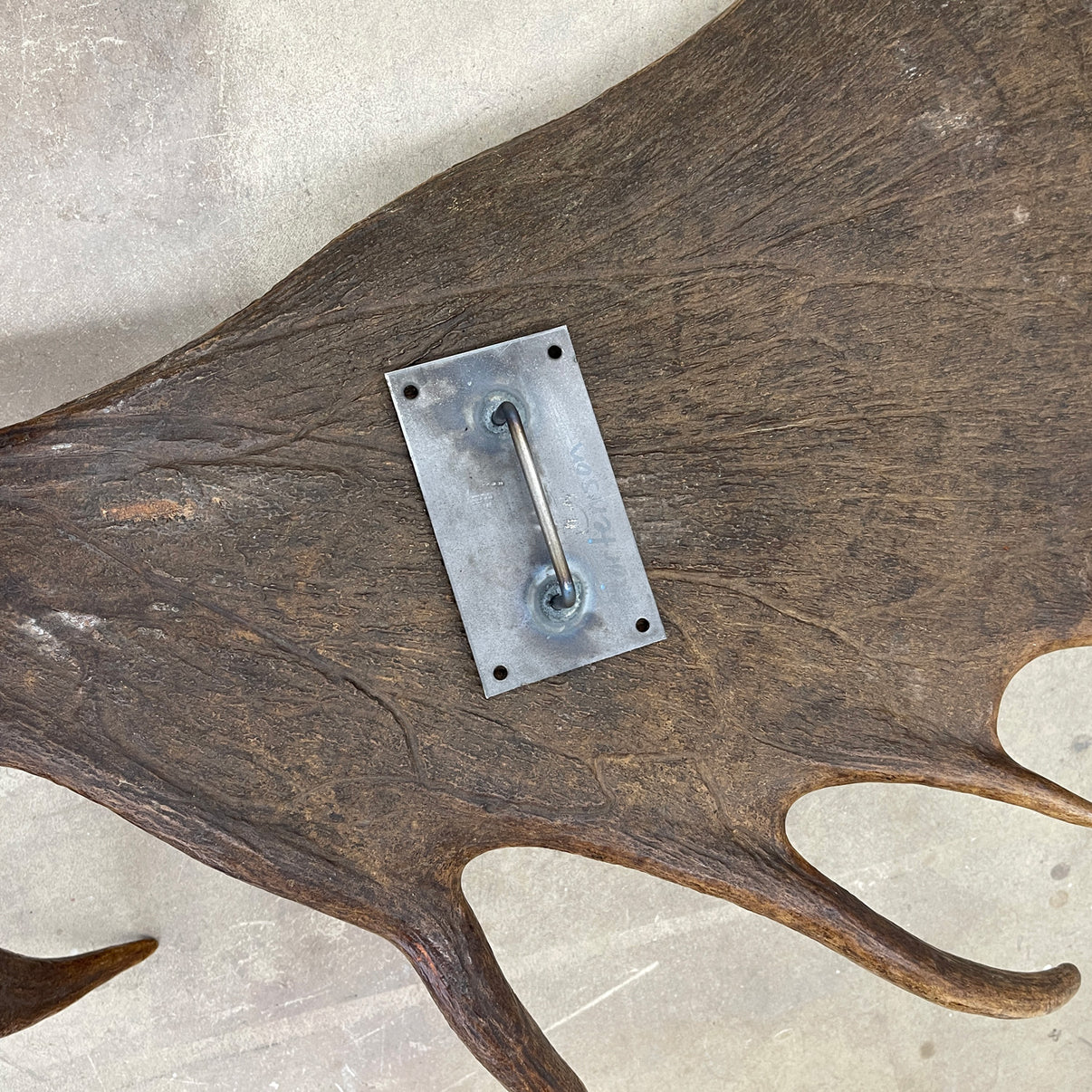 Moose Antler Wall Mounts – Farmhaus + Co