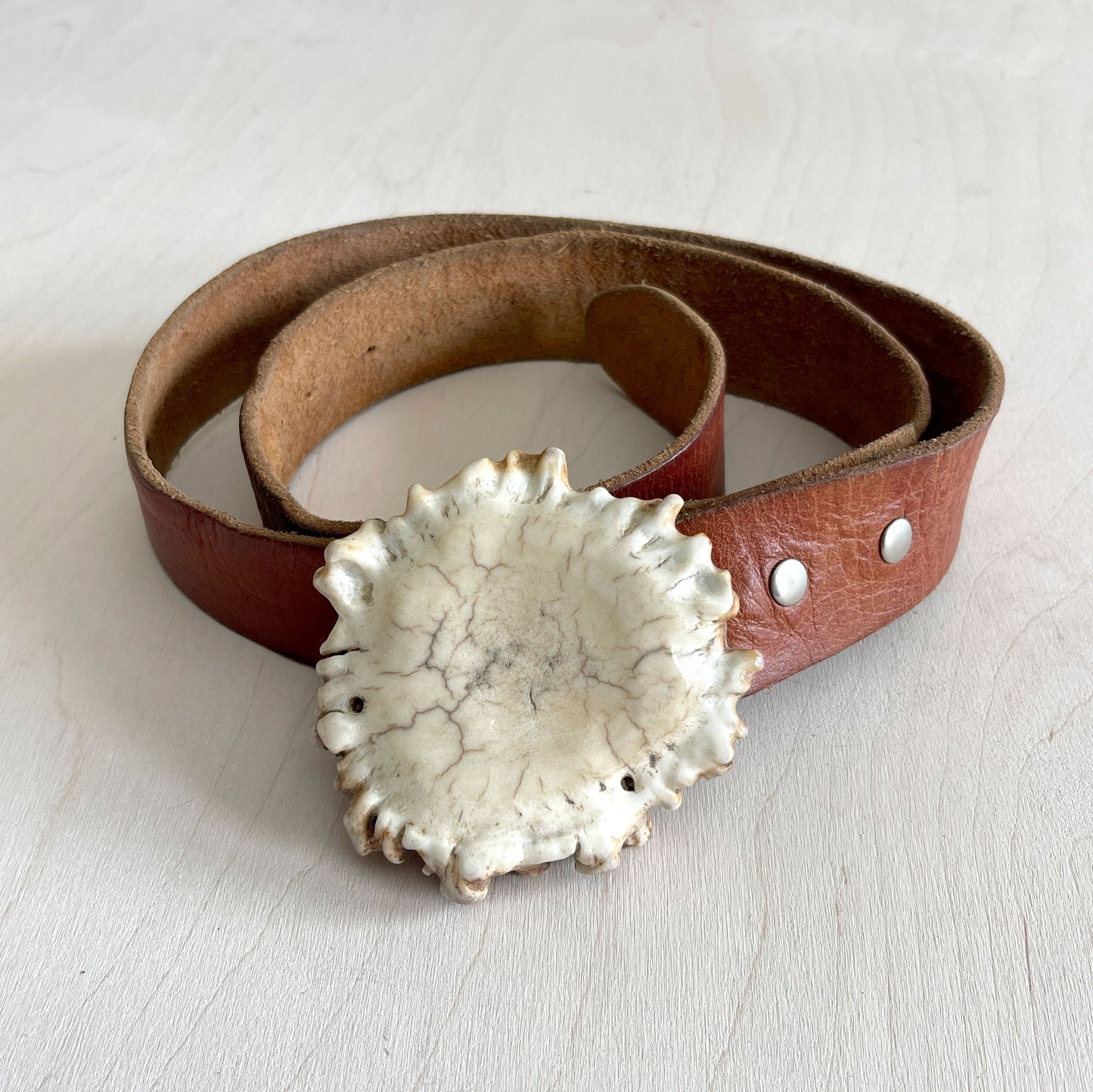 Moose Antler Belt Buckle