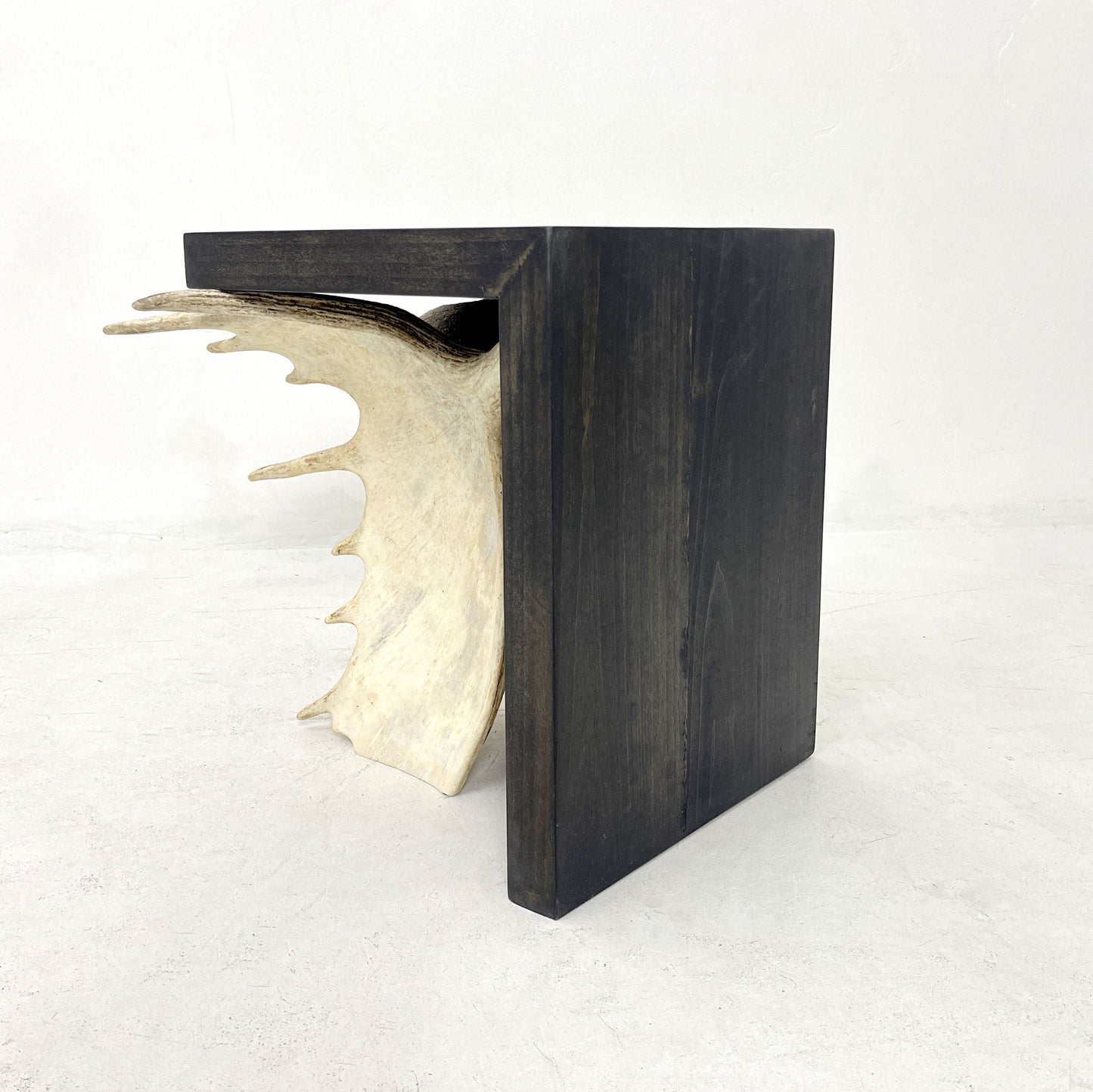 Moose Antler End Table