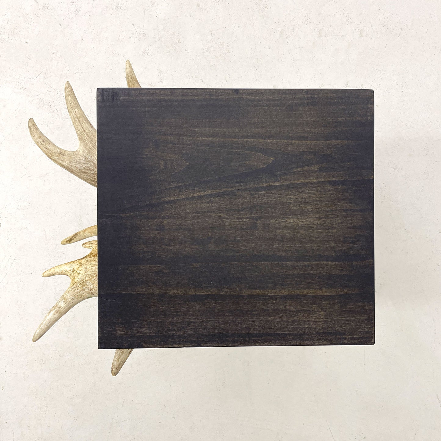 Moose Antler End Table
