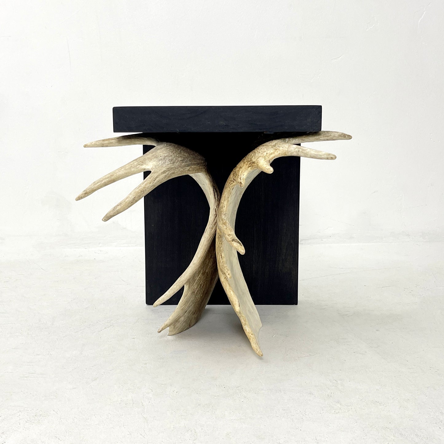 Moose Antler End Table