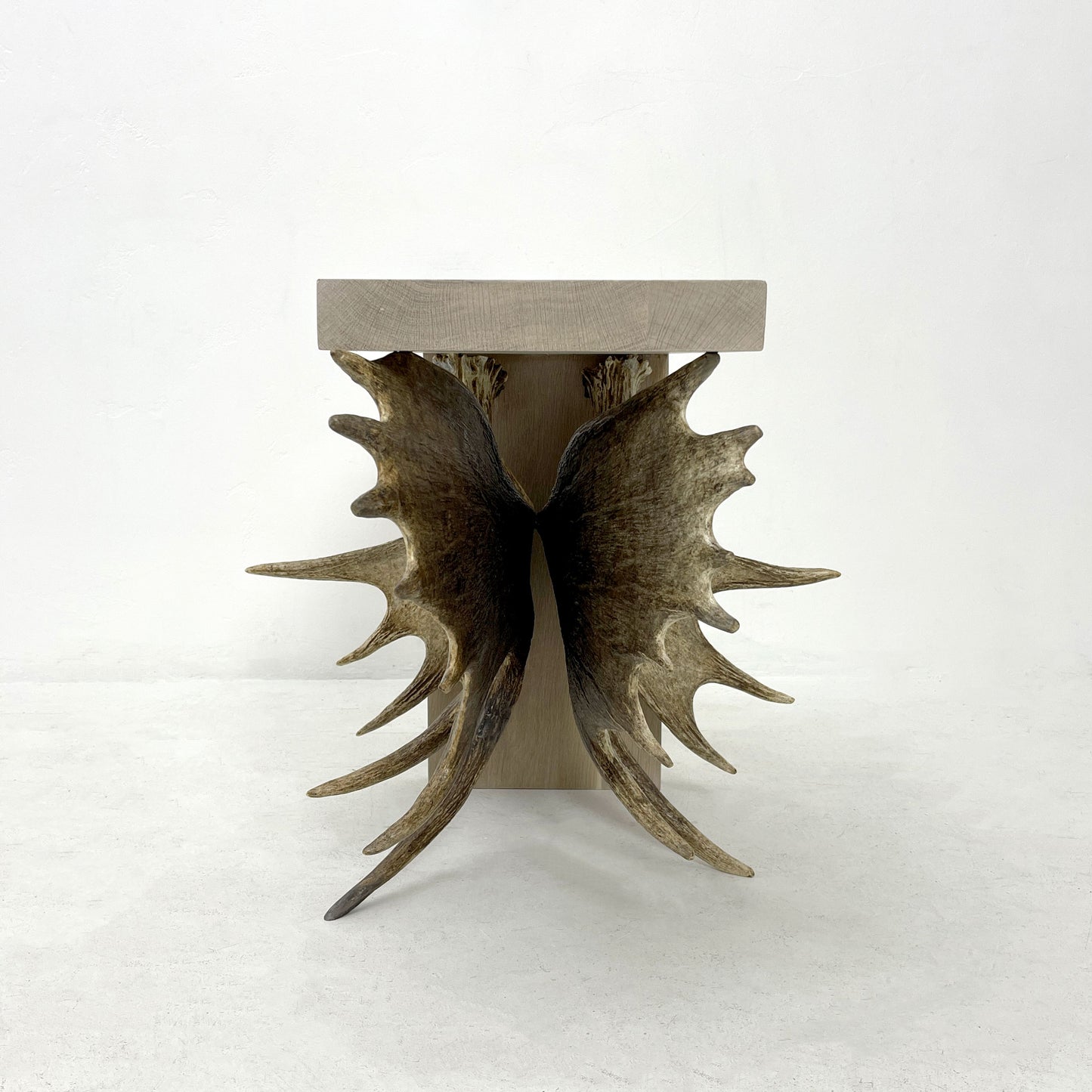 Moose Antler End Table