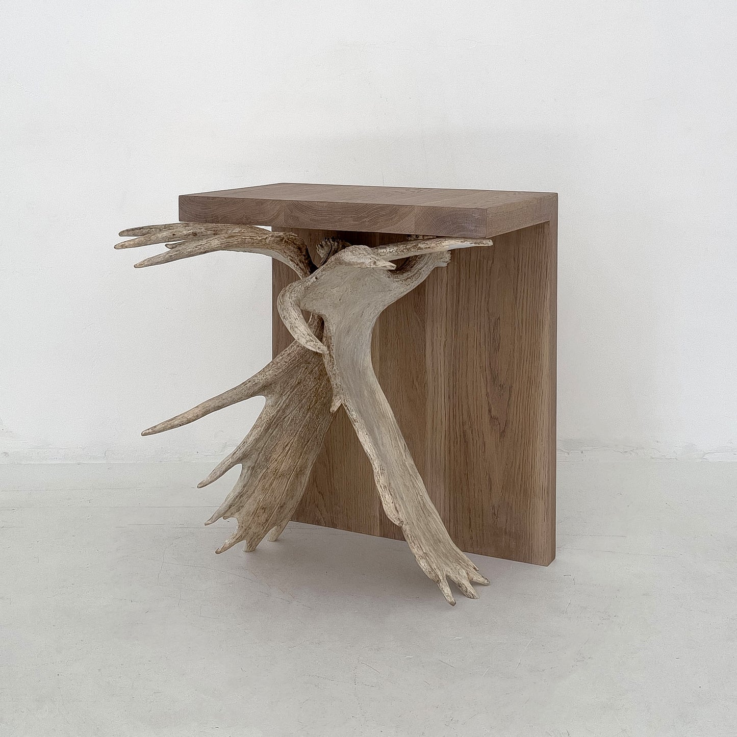 Moose Antler End Table