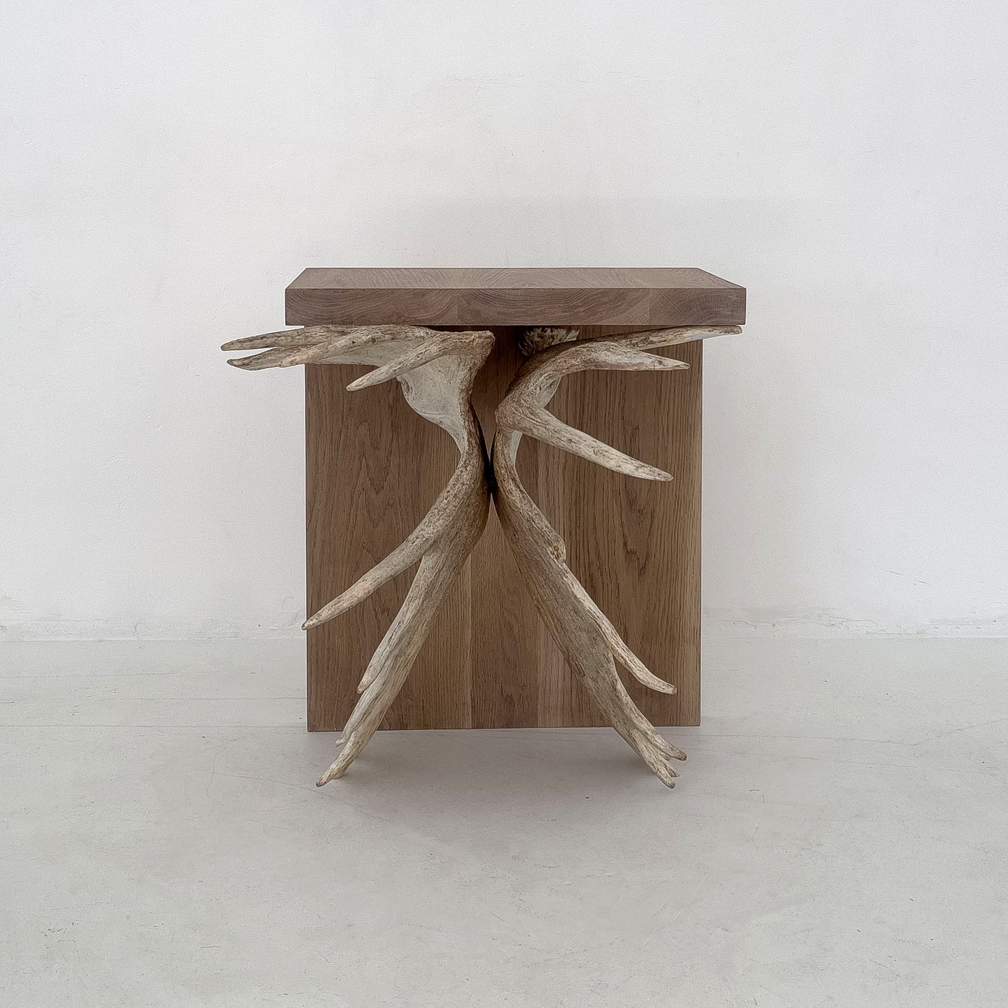 Moose Antler End Table