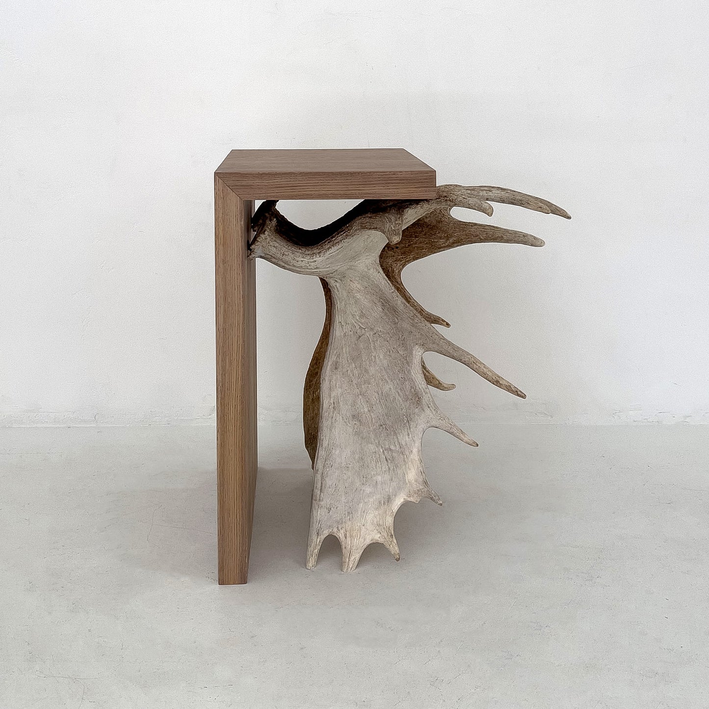 Moose Antler End Table